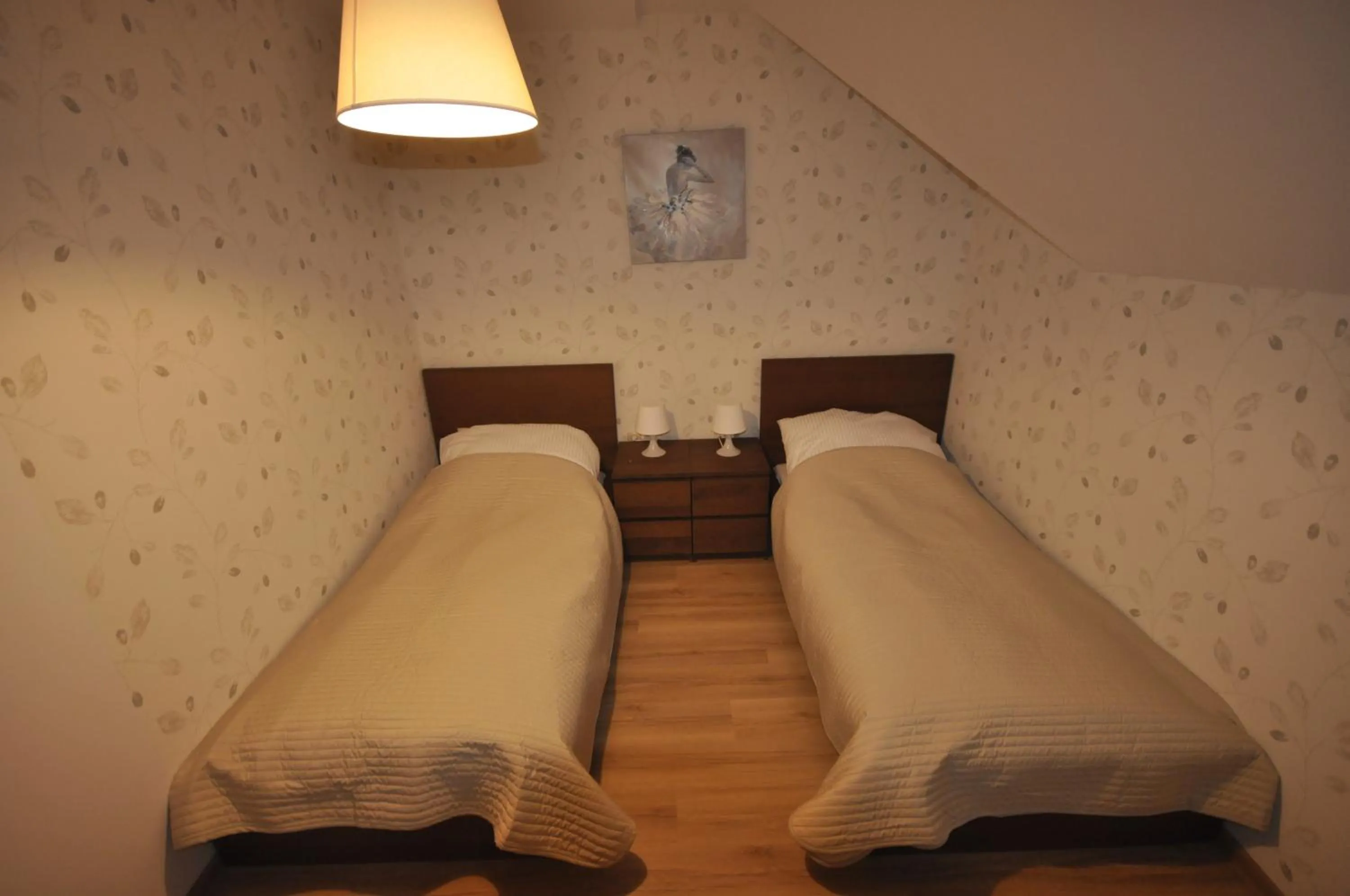 Double Room - single occupancy in Pokoje Zygmuntowska