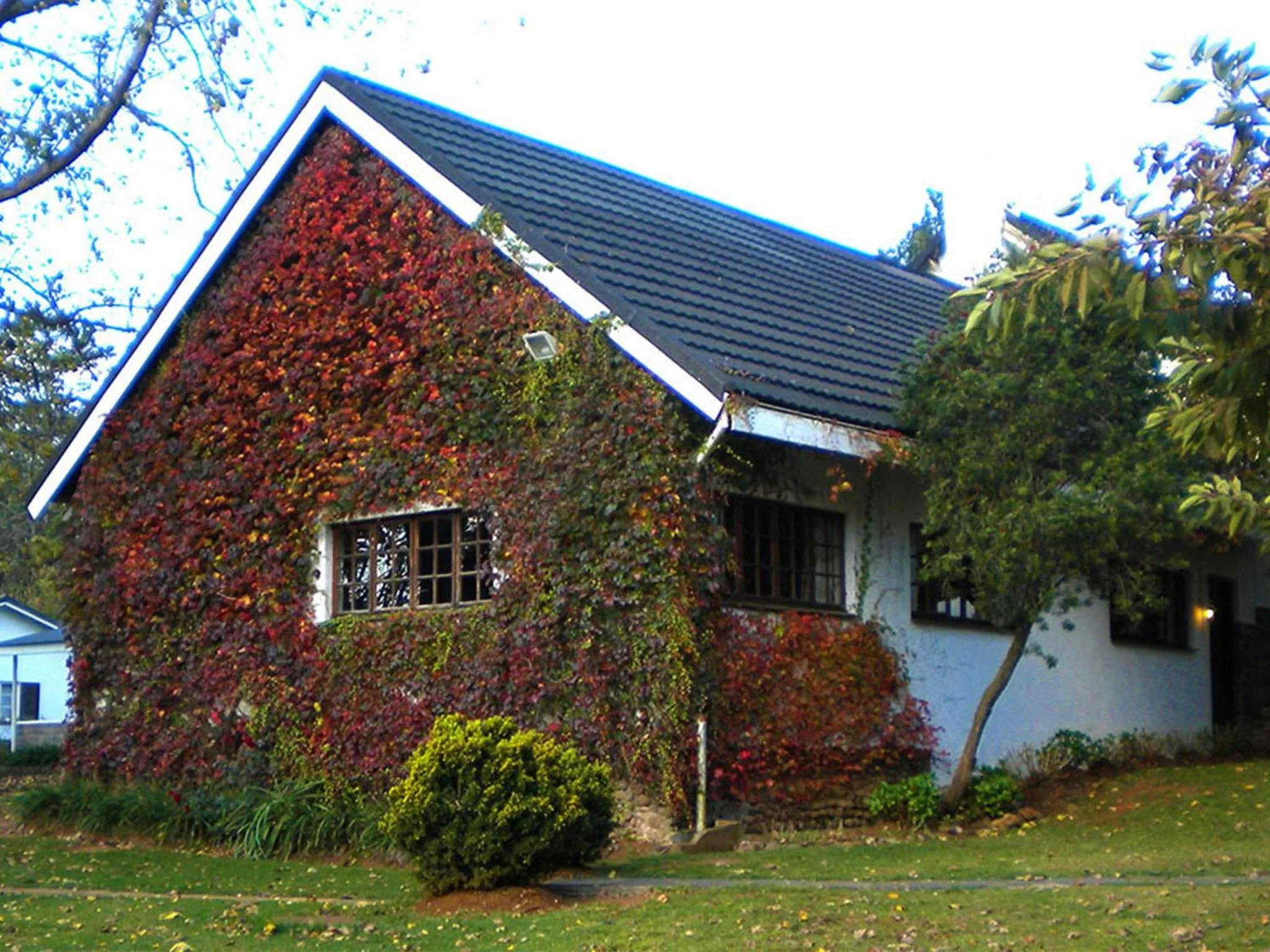 Property building in Himeville Arms