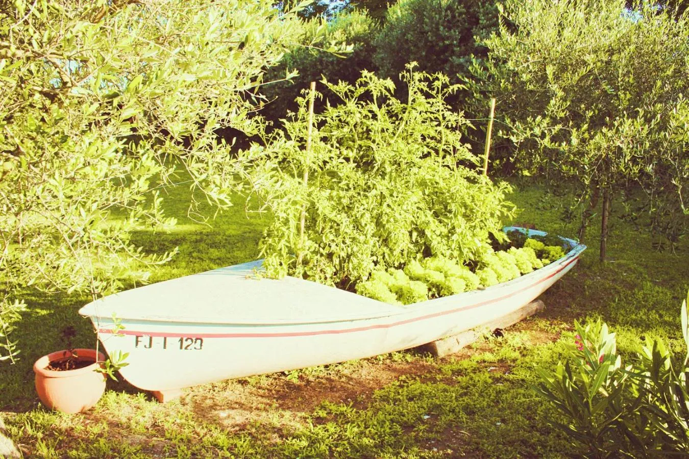 Garden view in Cà Donzella
