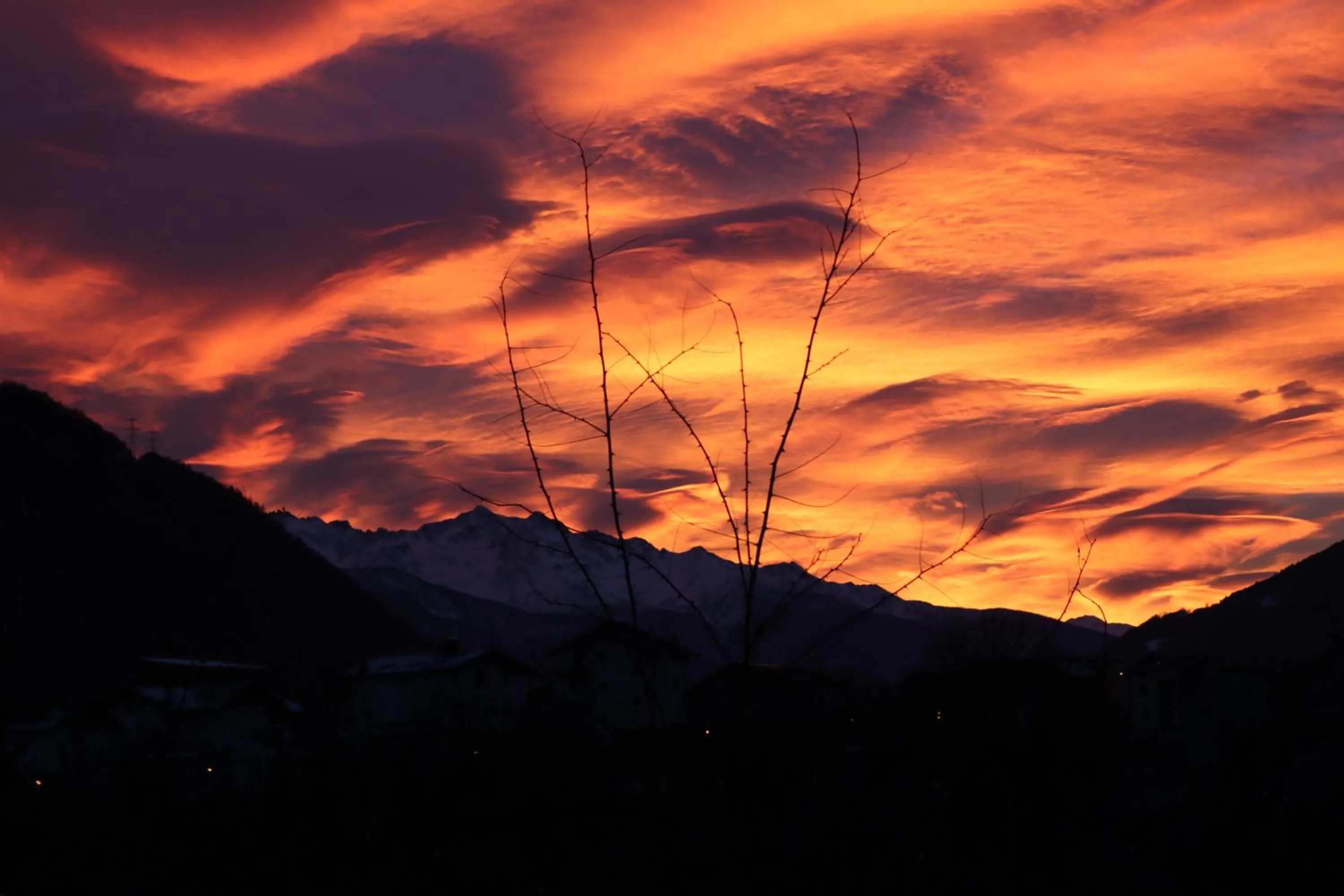 Garden in Ostello del Castello Tirano