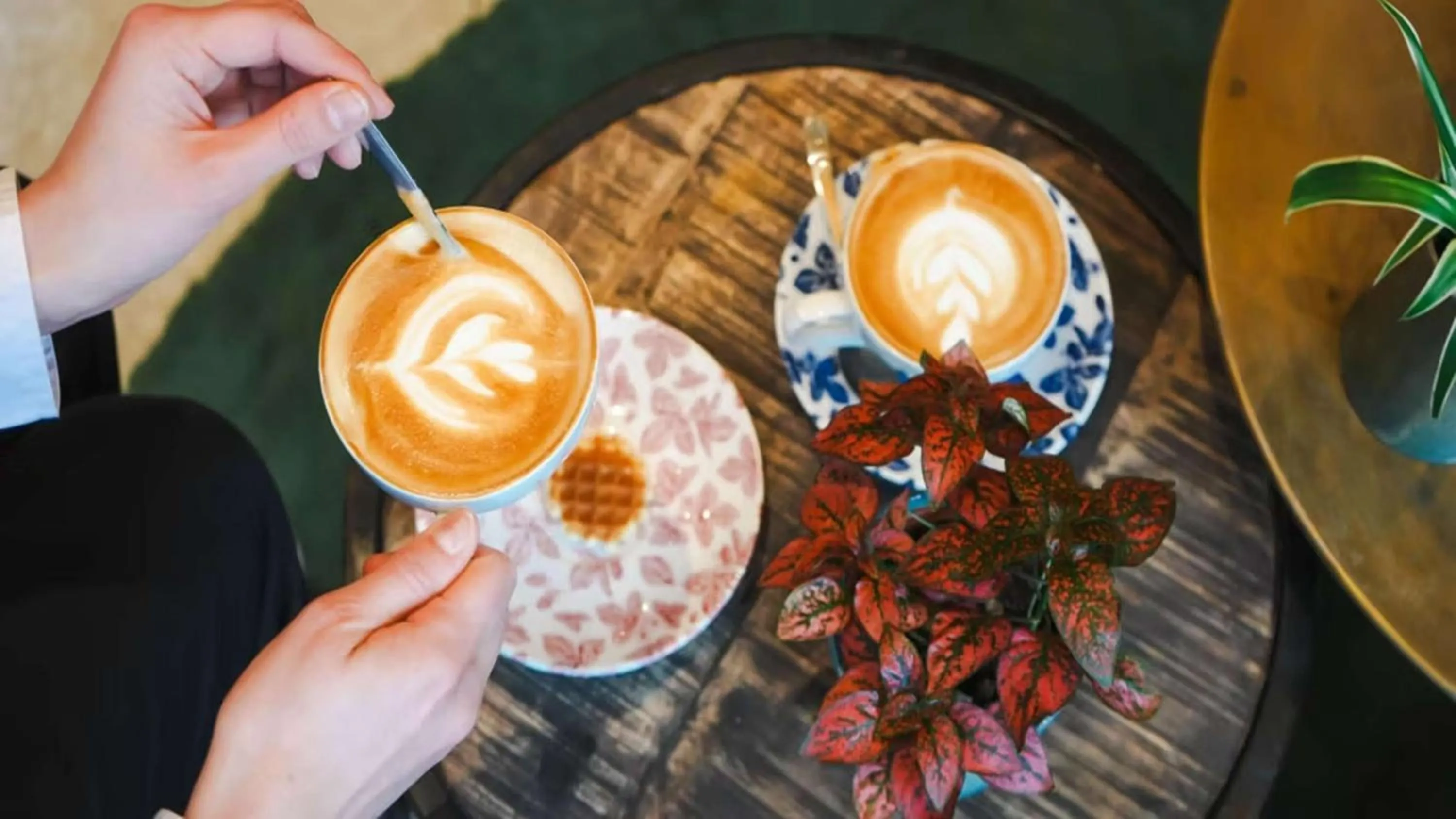 Photo of the whole room in Hotel Indigo Bridgetown Barbados by IHG