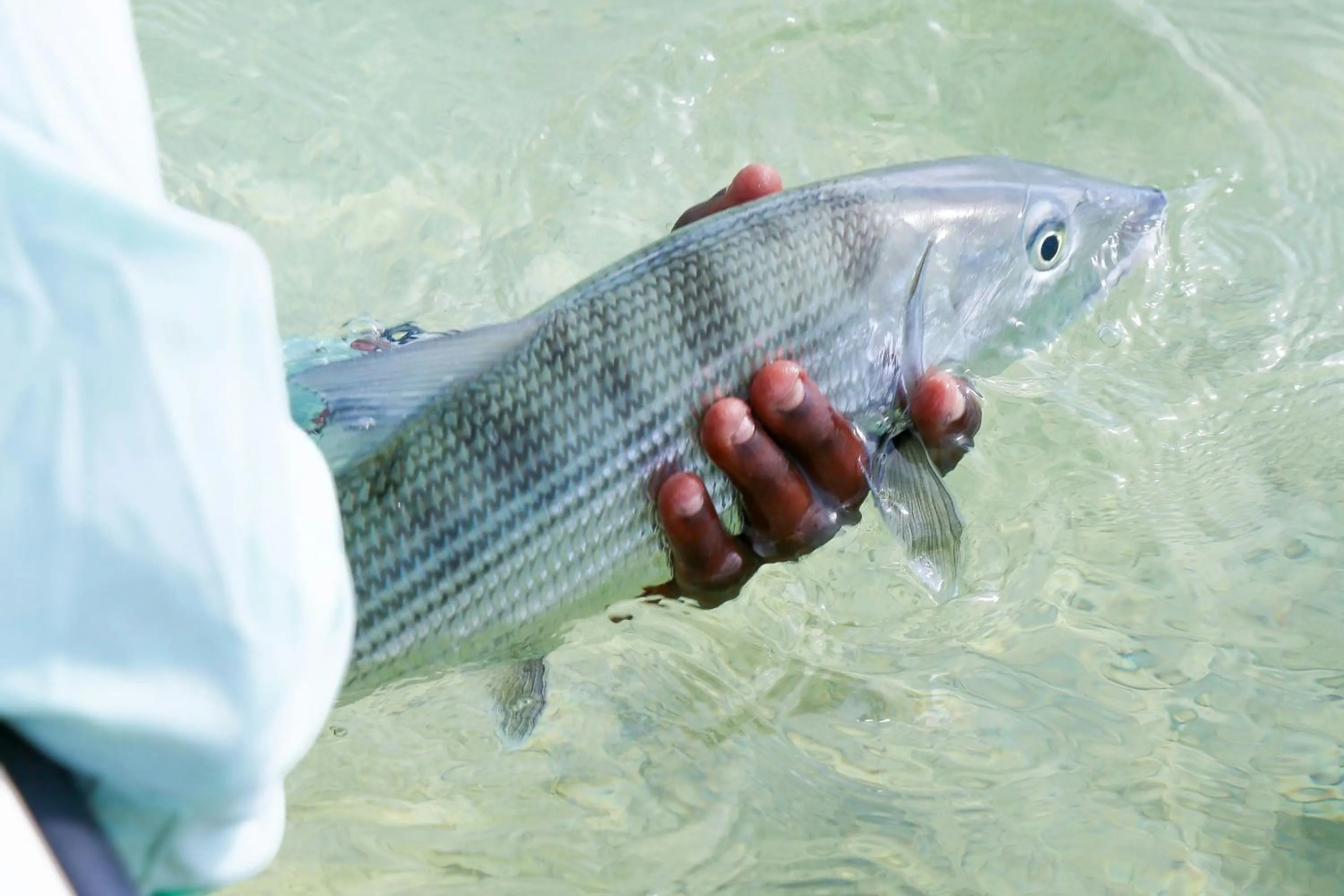 Other in Salterra, a Luxury Collection Resort & Spa, South Caicos