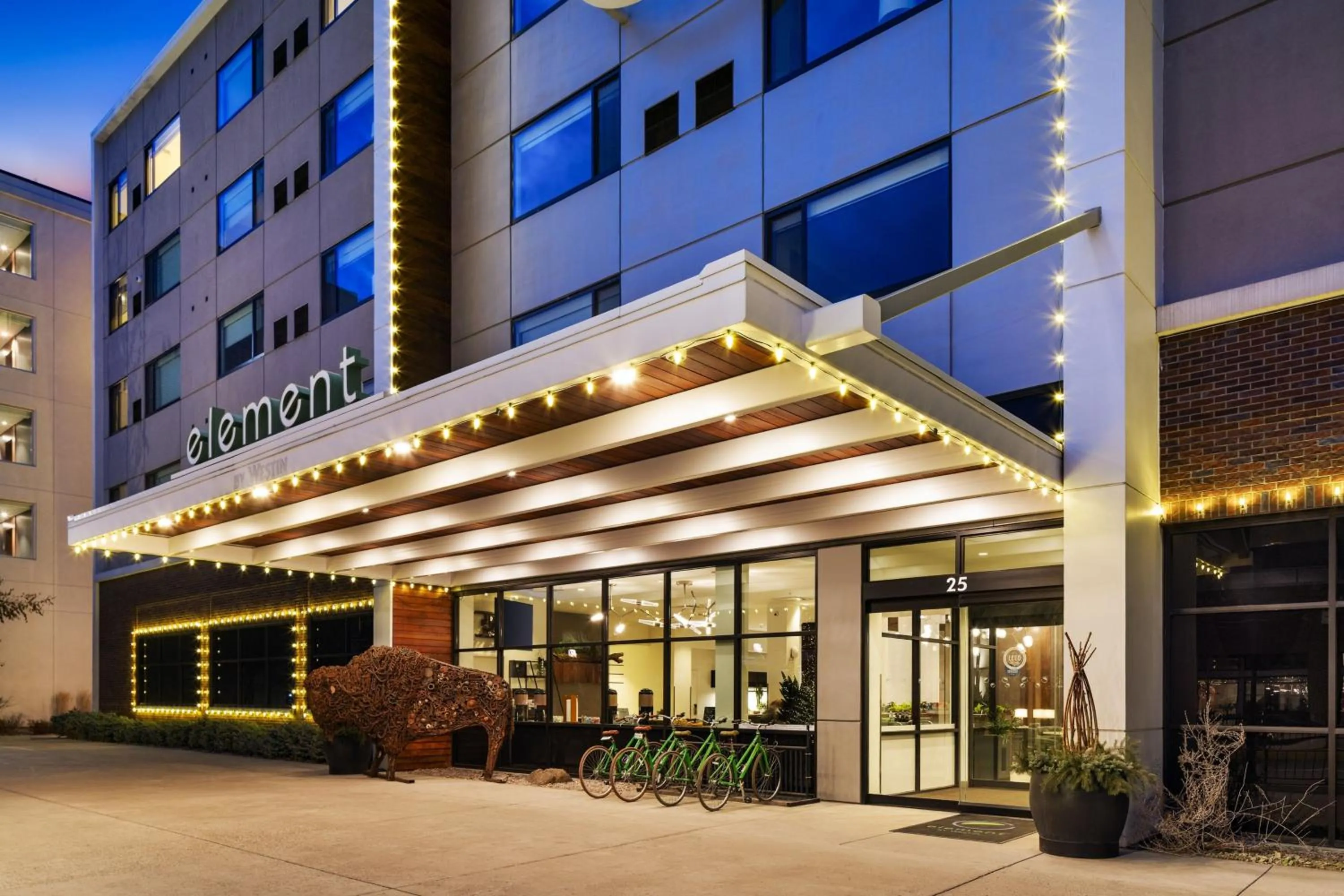 View (from property/room) in Element Bozeman