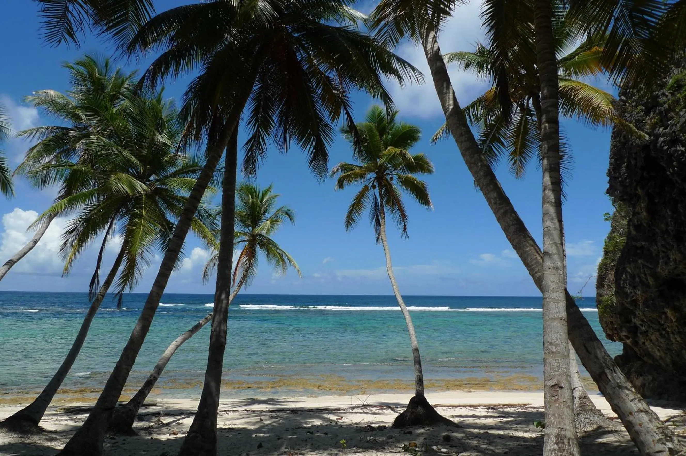 Beach in Apart-Hotel Garden Villa