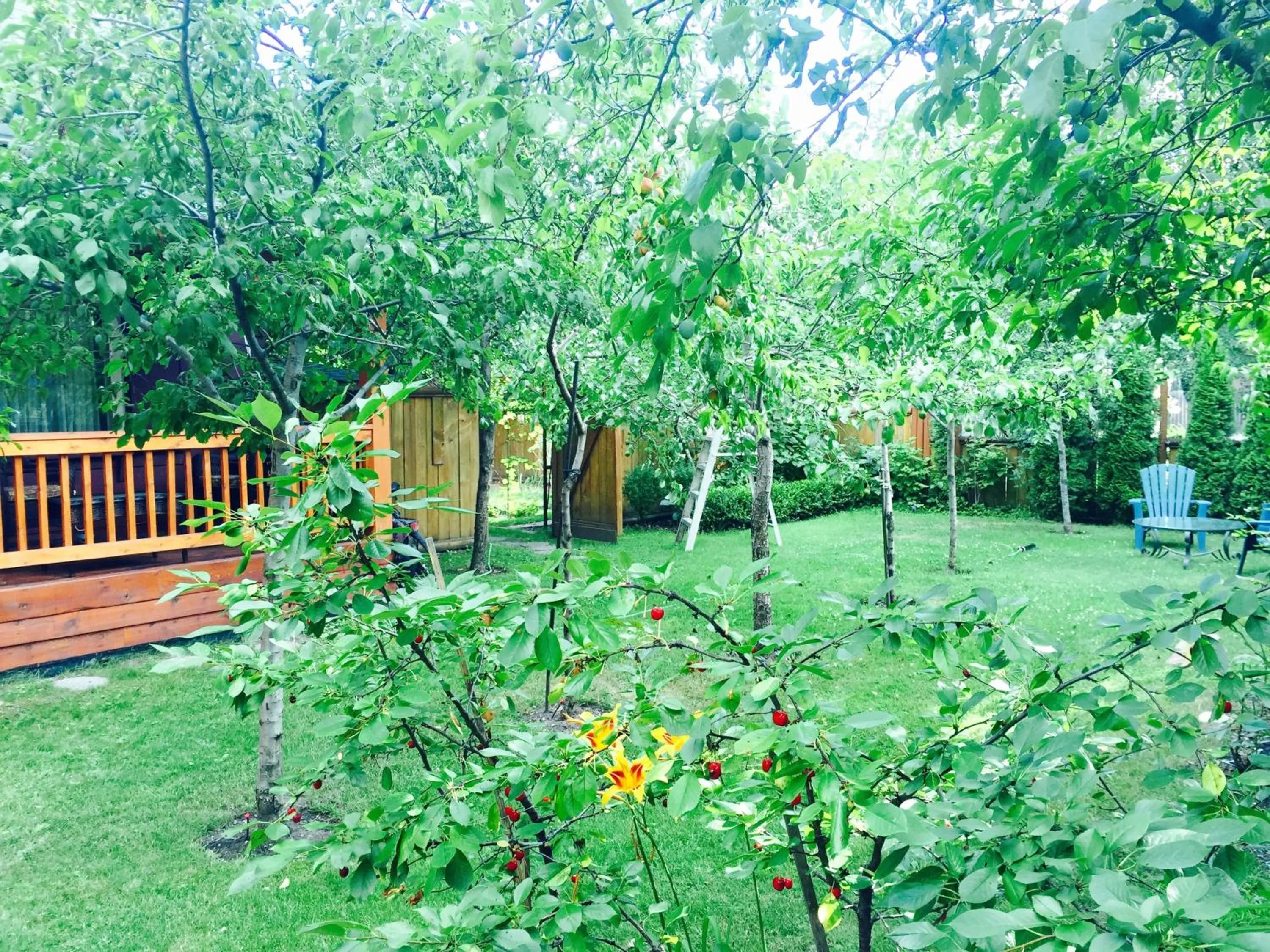 Garden in Luna Bed & Breakfast