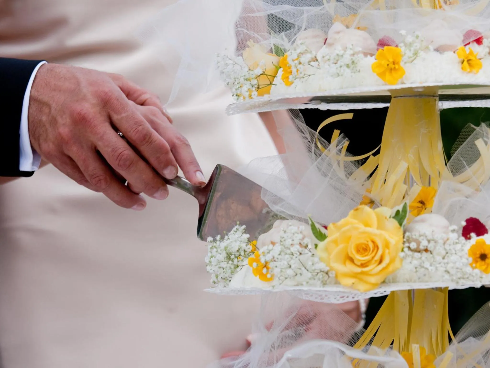 Restaurant/places to eat in Gelindo Dei Magredi