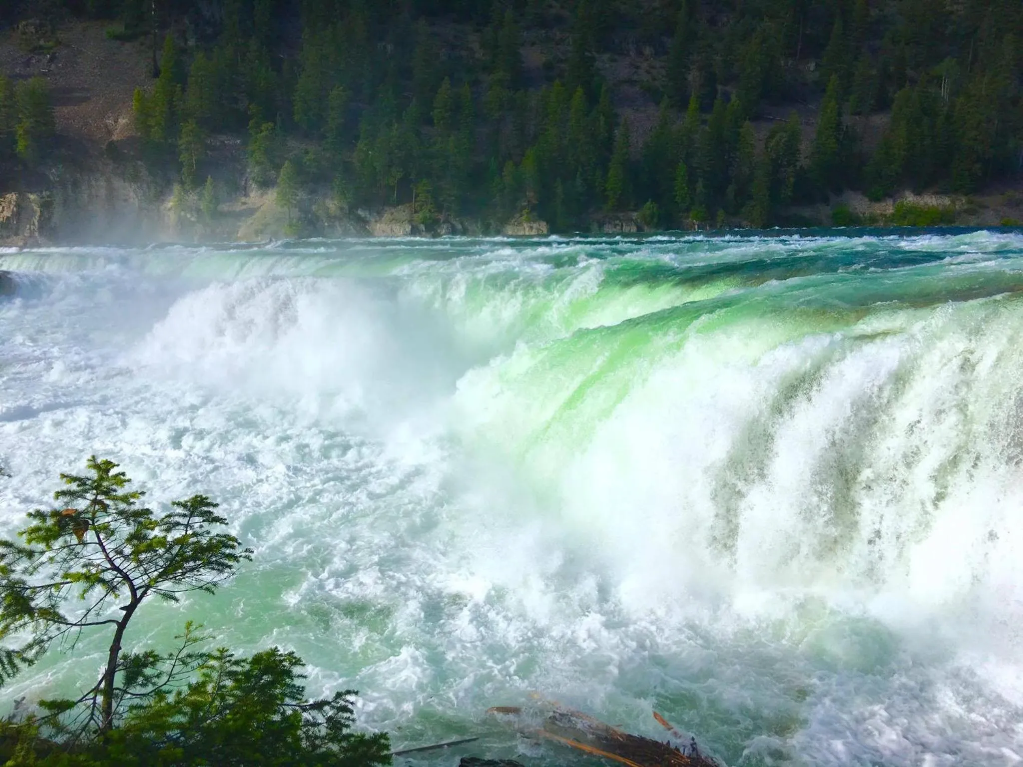 Nearby landmark in Evergreen Motel