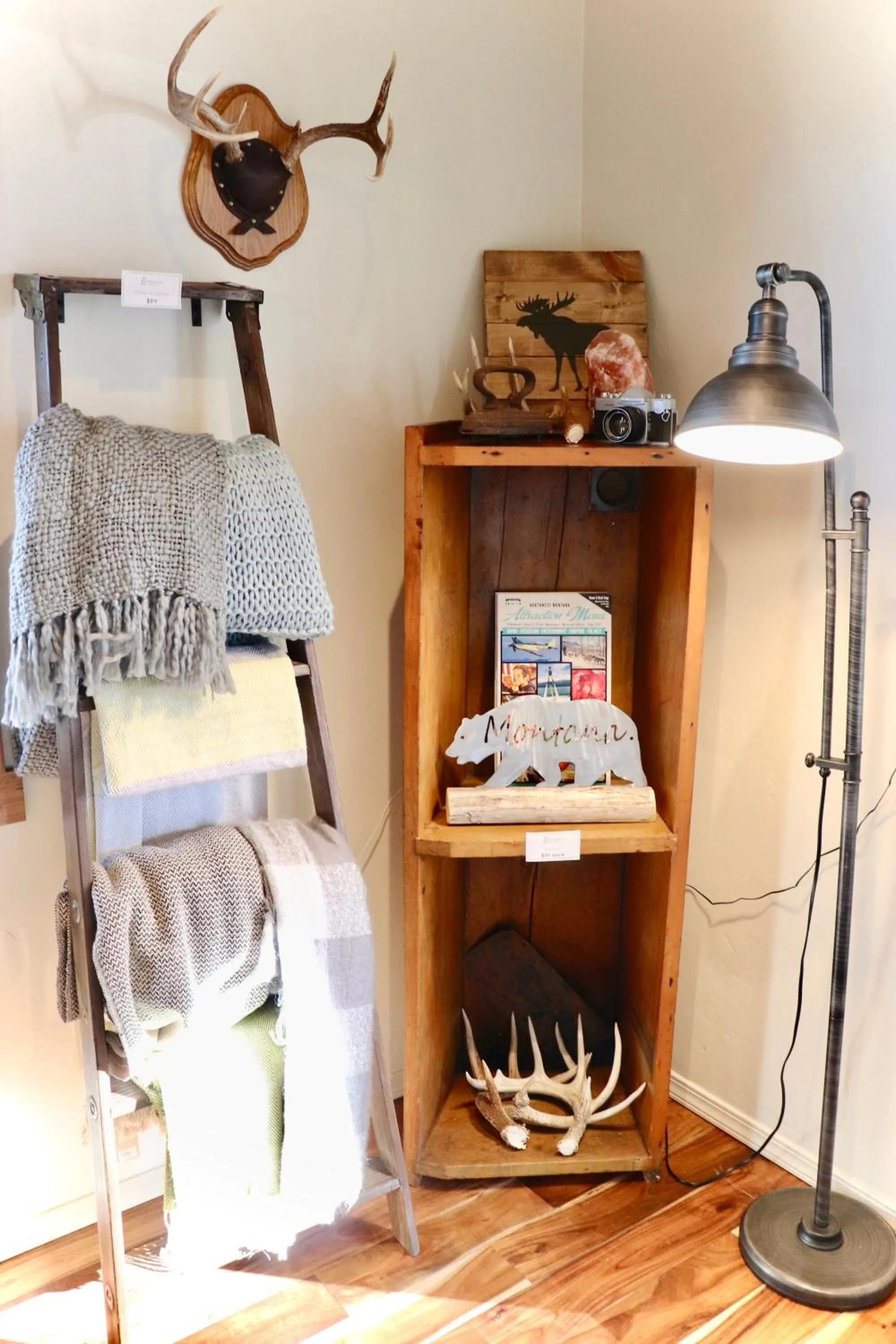 Area and facilities in Evergreen Motel