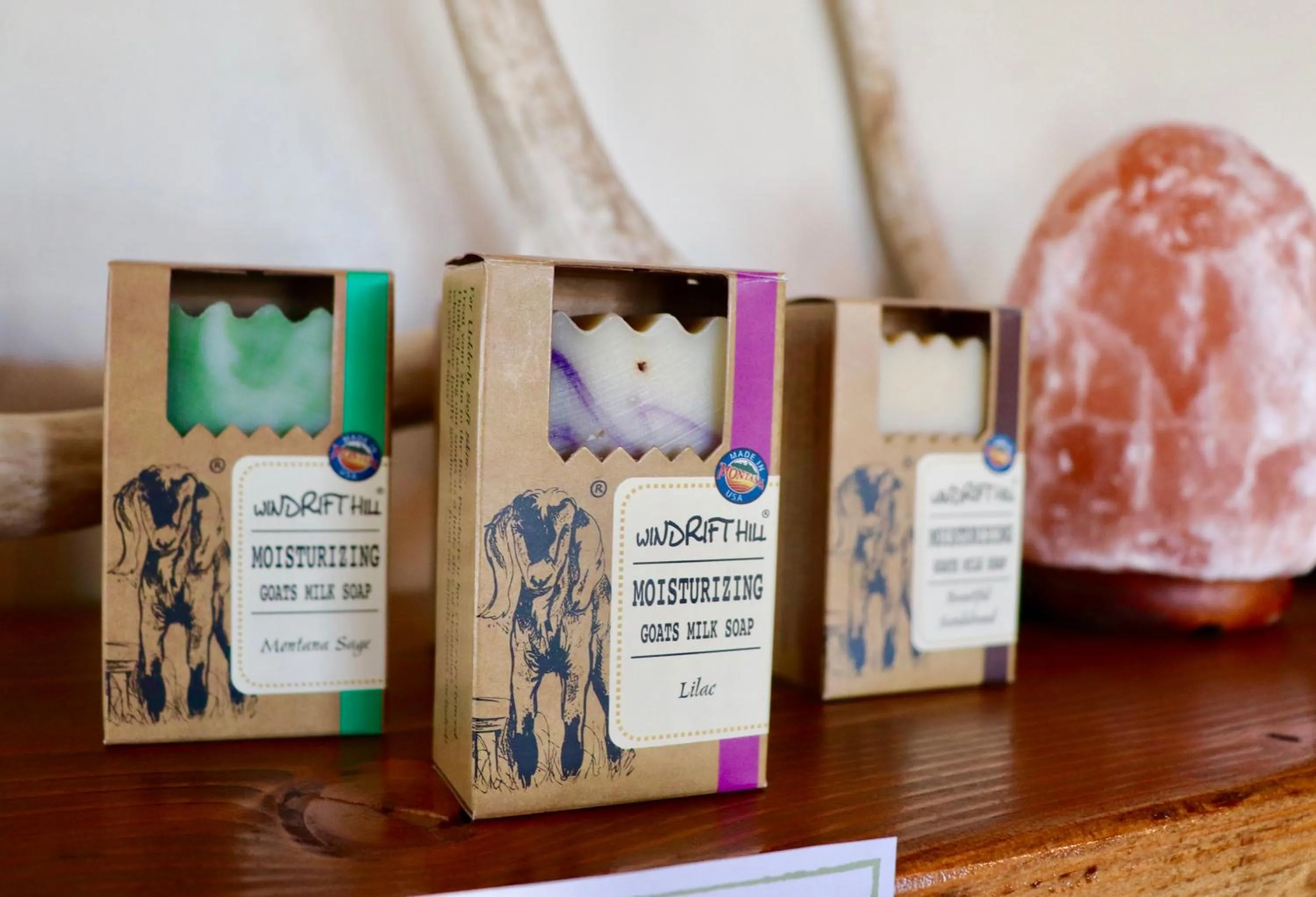 Coffee/tea facilities in Evergreen Motel