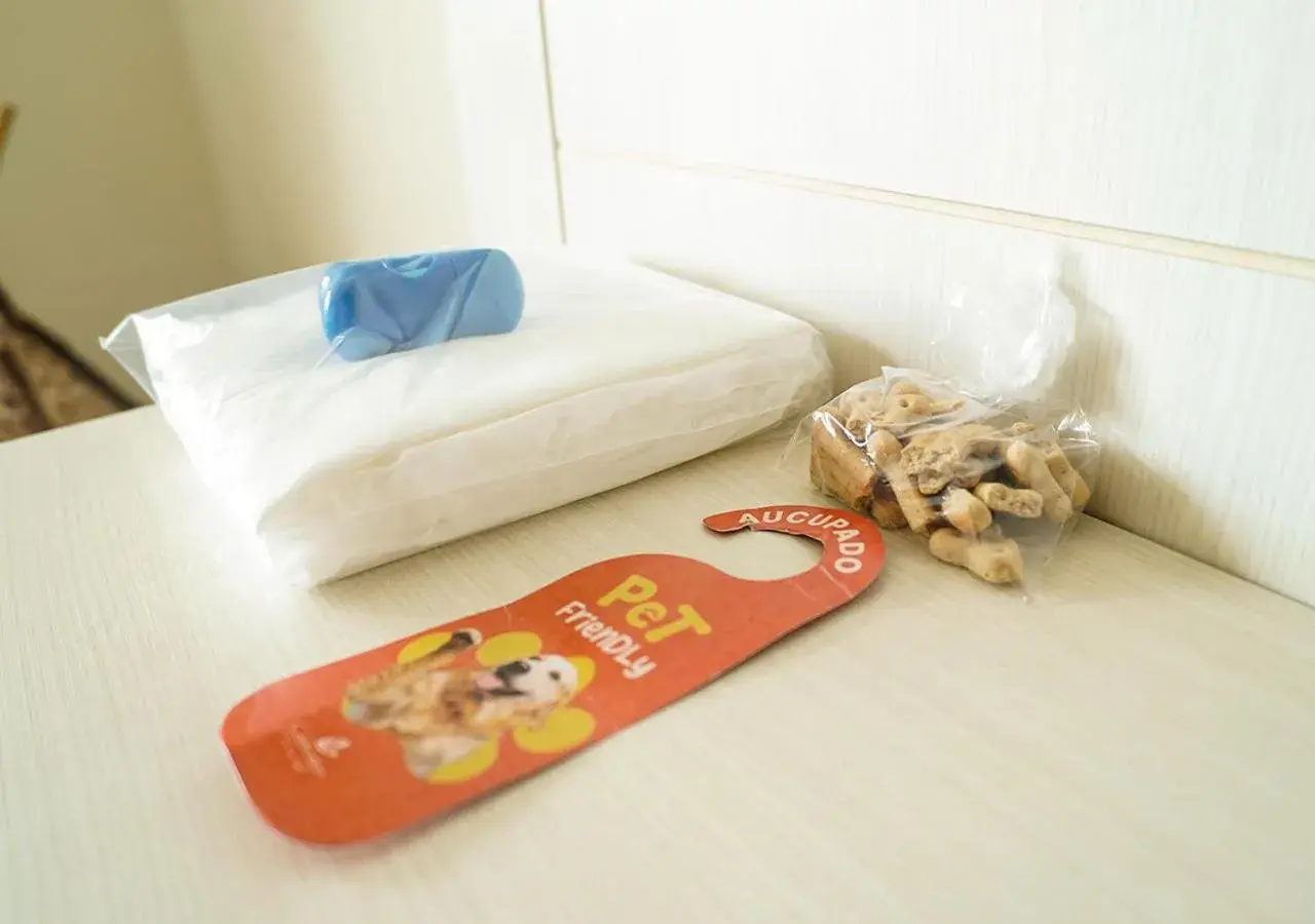 Premier Family Room Pet friendly - single occupancy - includes Hot Beach Water Park tickets in Hot Beach Celebration Premier Family Room Pet friendly - single occupancy - includes Hot Beach Water Park tickets in Hot Beach Celebration