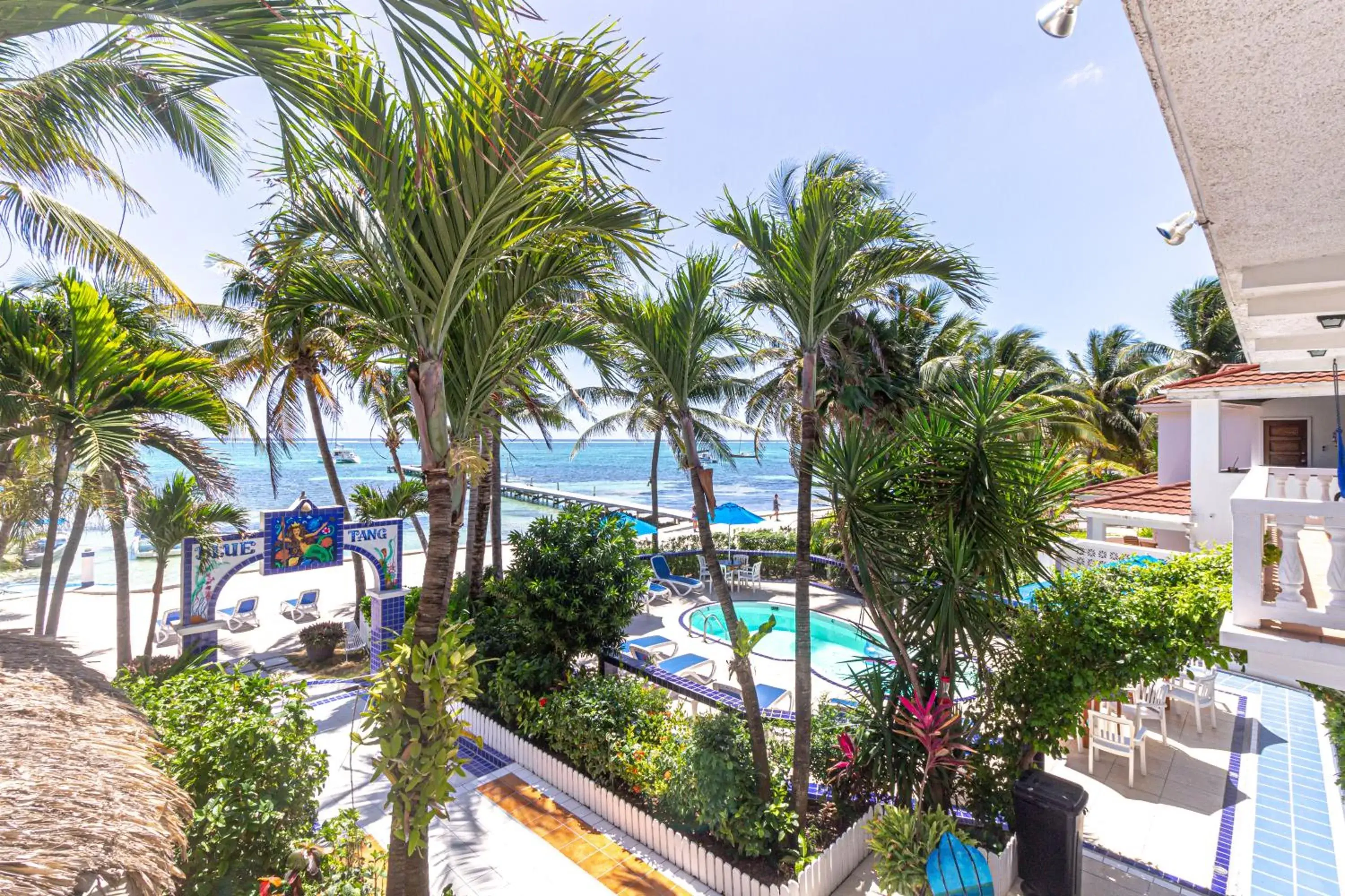 King Room with Balcony in Blue Tang Inn King Room with Balcony in Blue Tang Inn