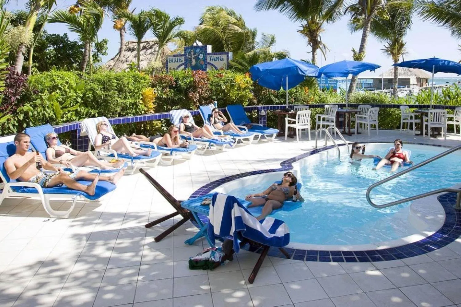 Swimming pool in Blue Tang Inn