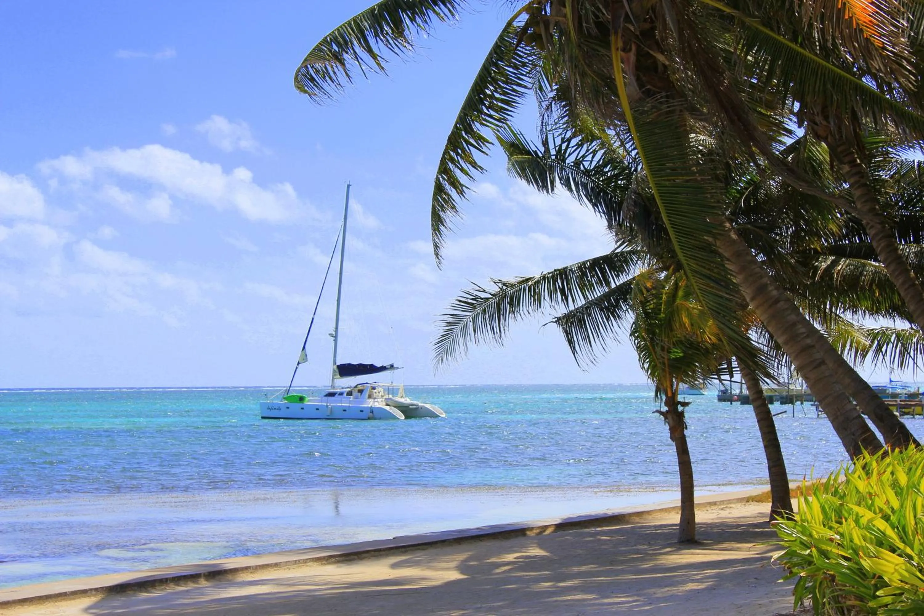 Natural landscape in Blue Tang Inn
