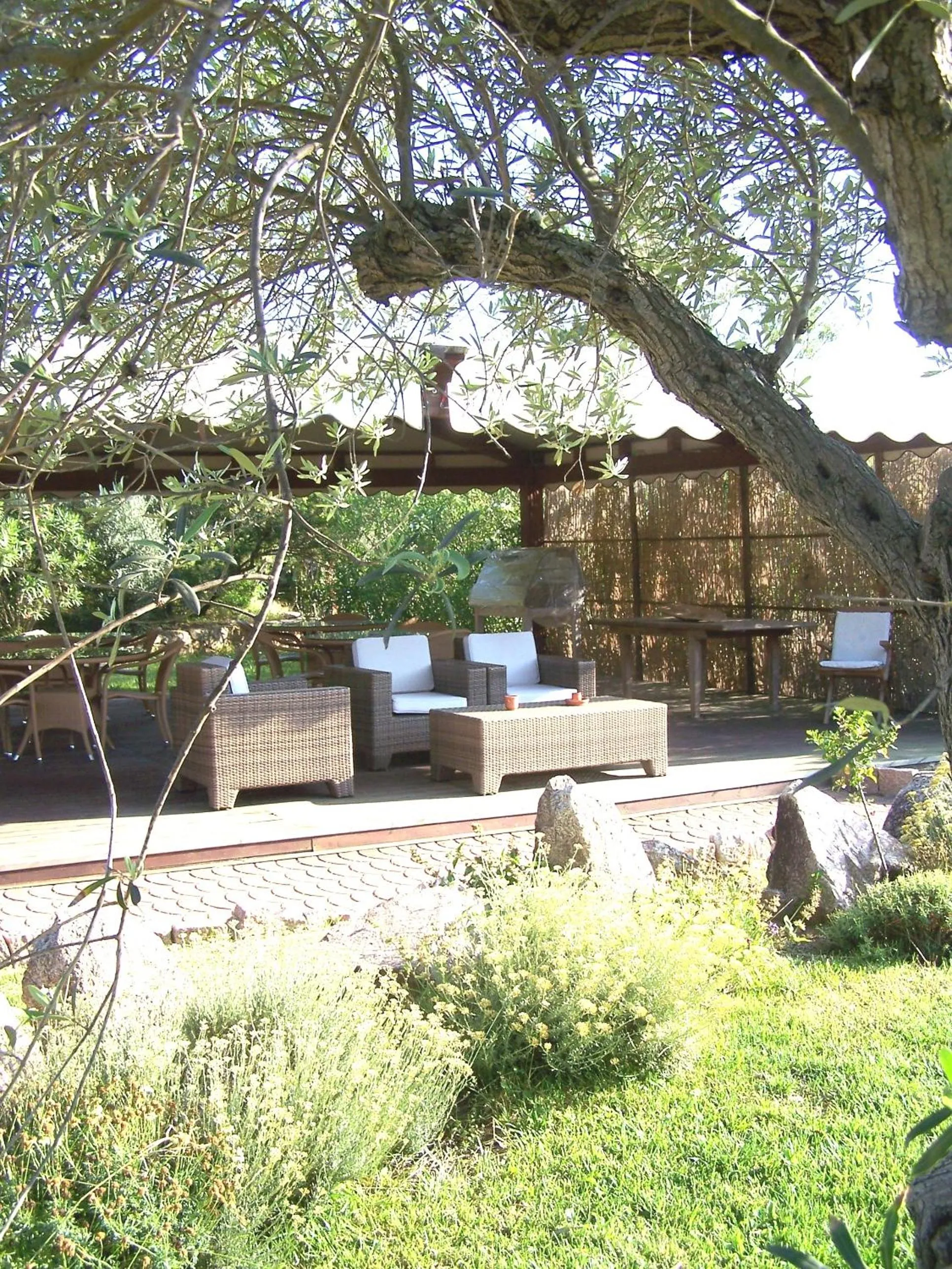 Balcony/Terrace in Hotel Club Ragno D'oro