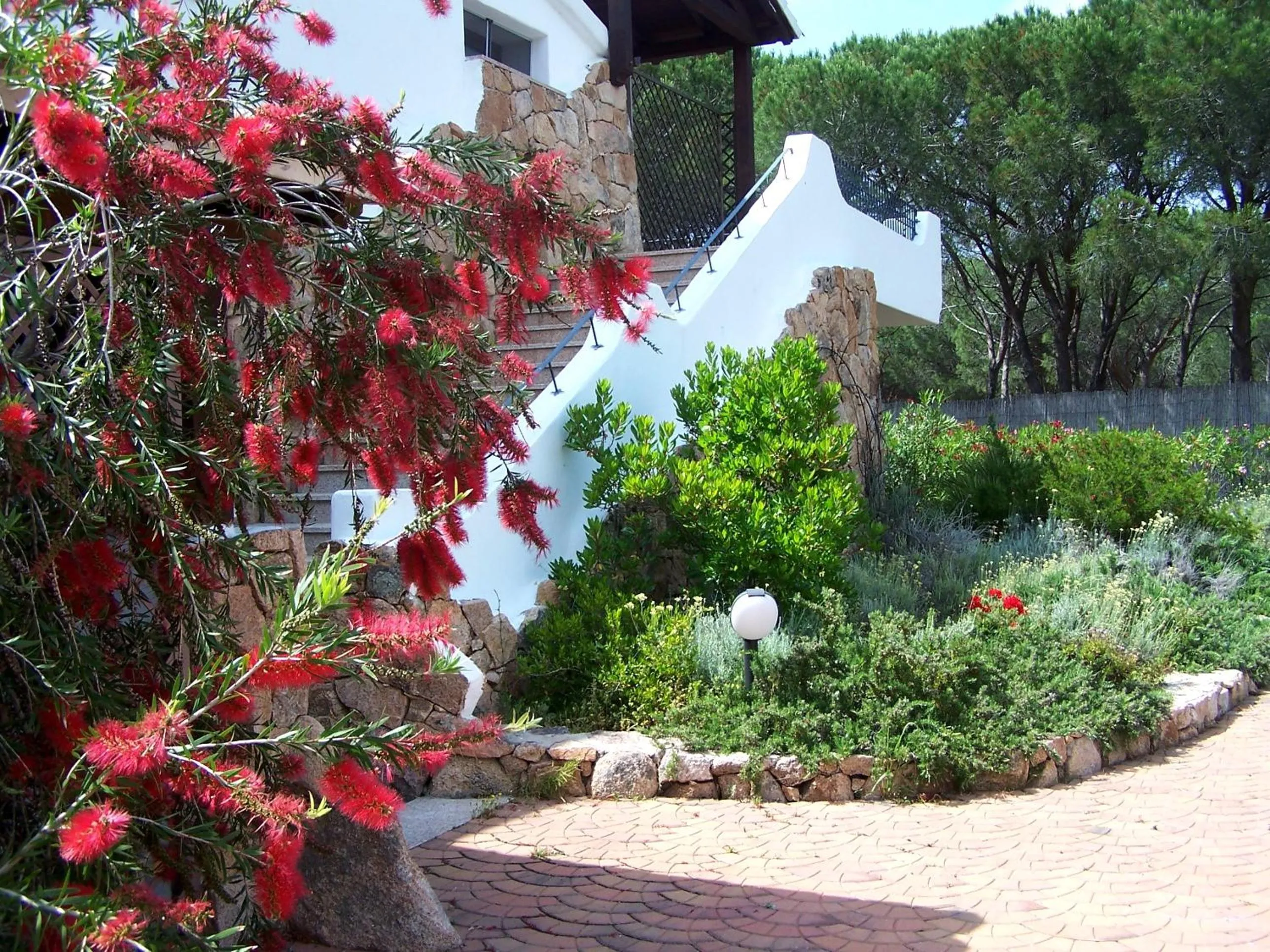 Garden in Hotel Club Ragno D'oro