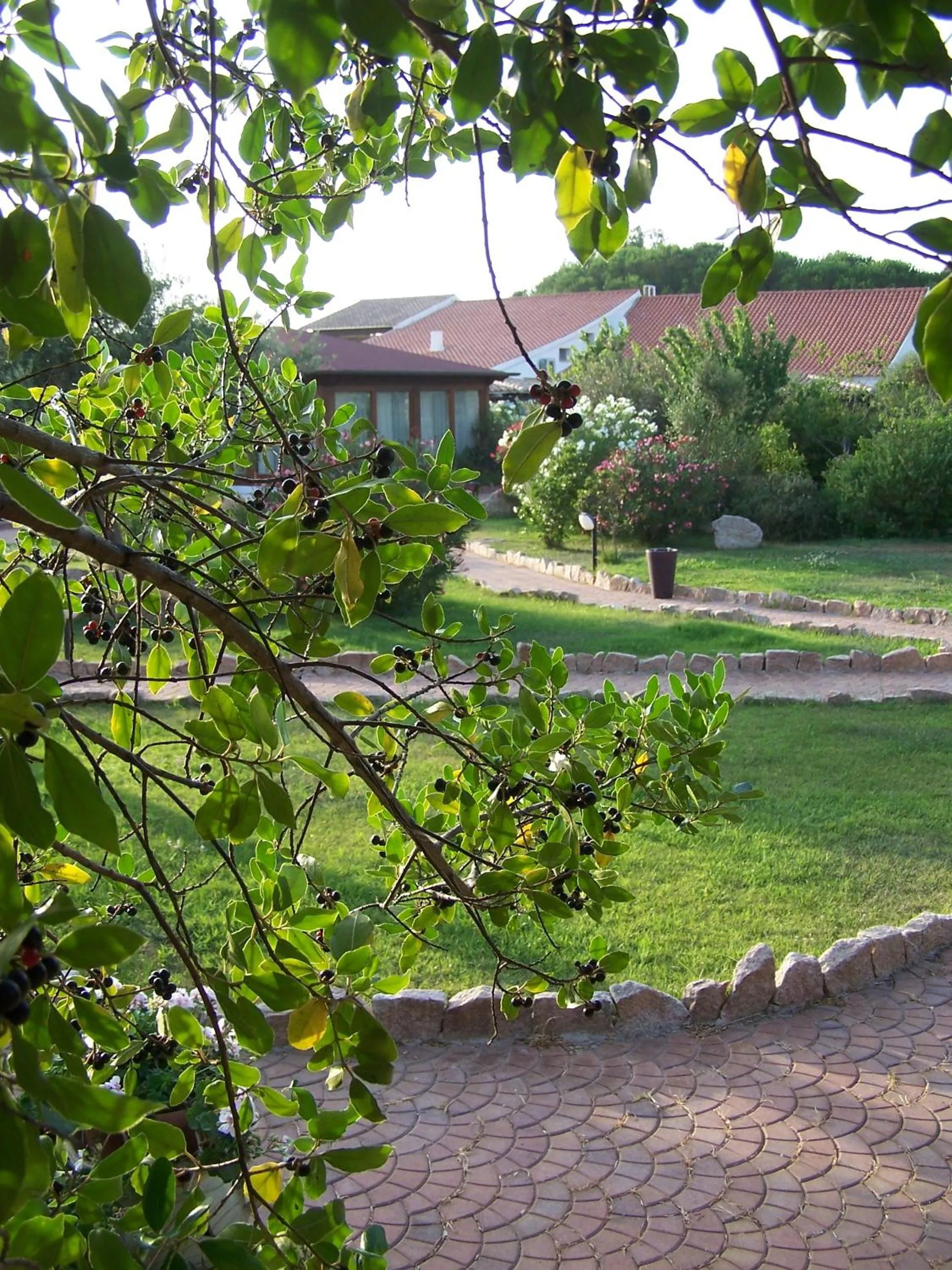 Garden in Hotel Club Ragno D'oro