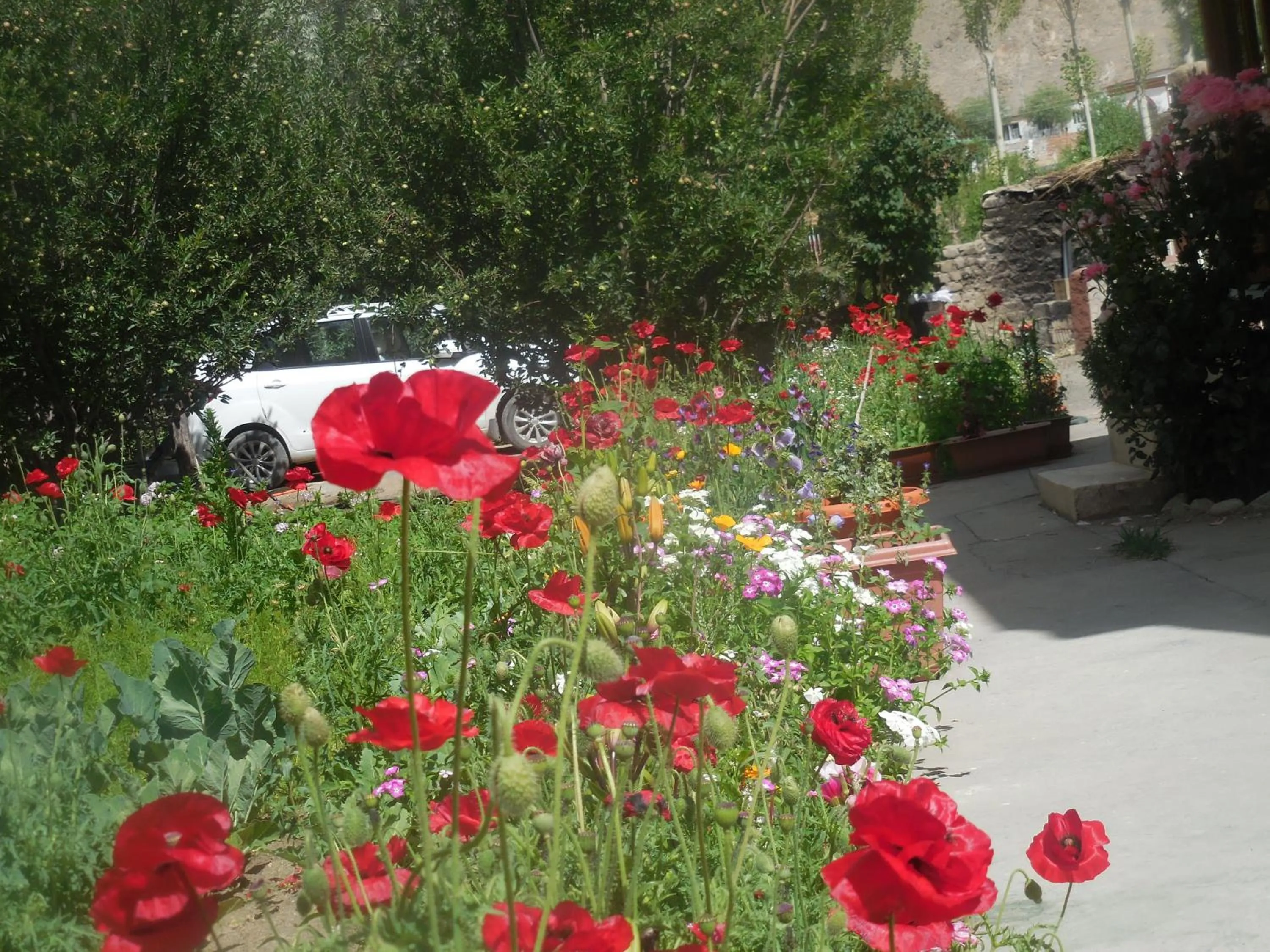 Garden in Sangto Green Guest House