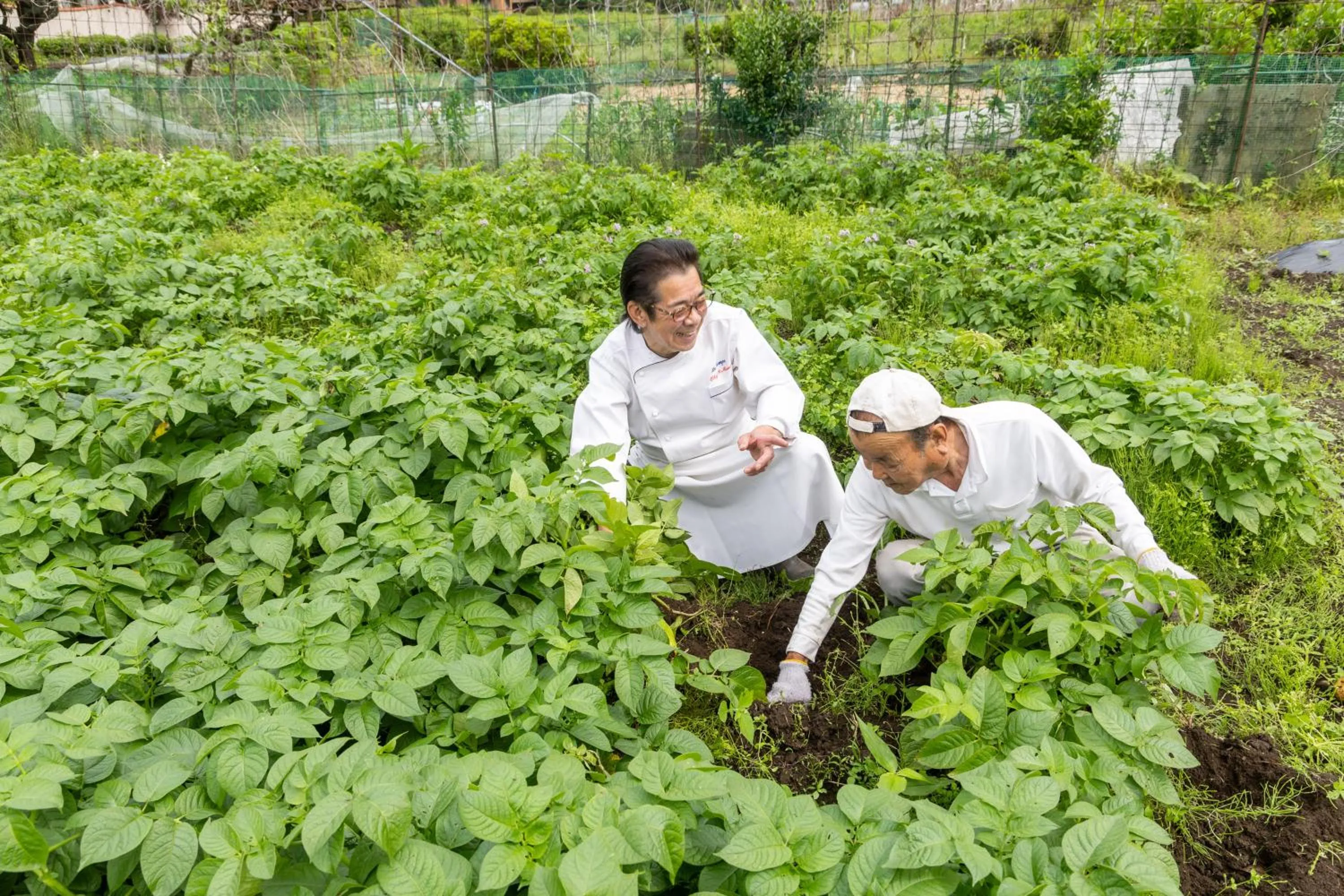 Natural landscape in Auberge Le Temps