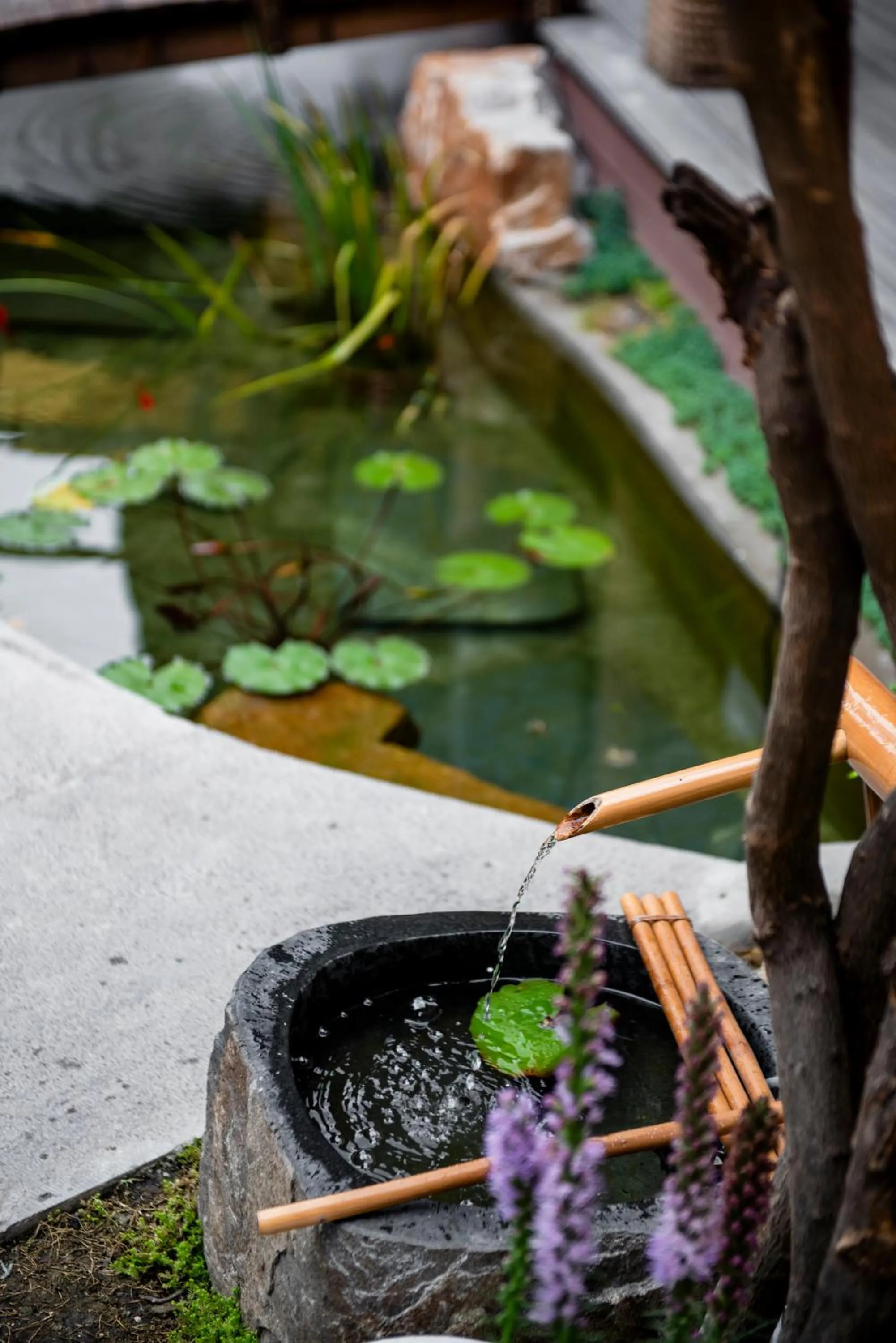 Garden in The Hidden House Aesthetic Life Courtyard Hotel Kuanzhai Alley People's Park Subway Station Branch