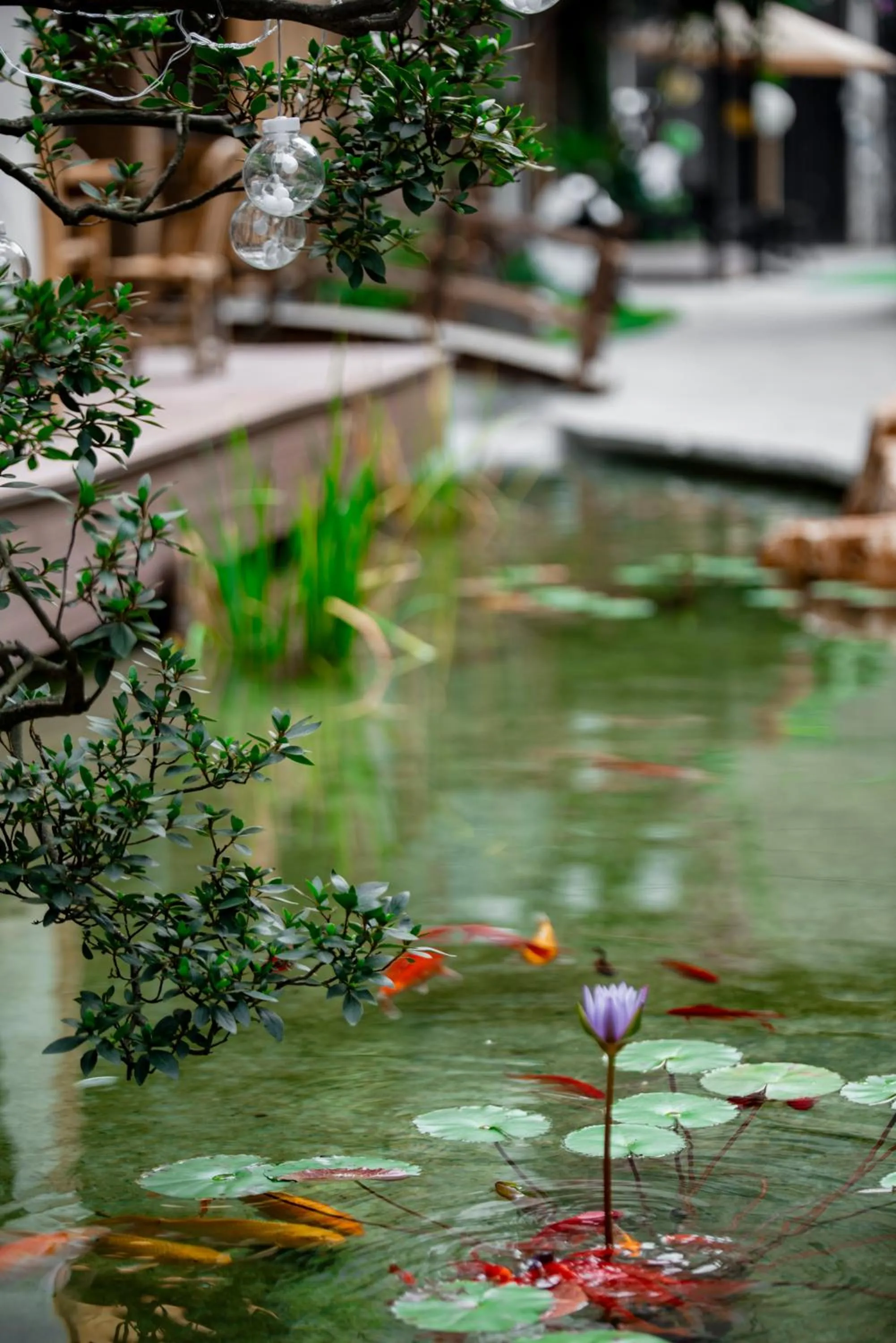 Garden in The Hidden House Aesthetic Life Courtyard Hotel Kuanzhai Alley People's Park Subway Station Branch