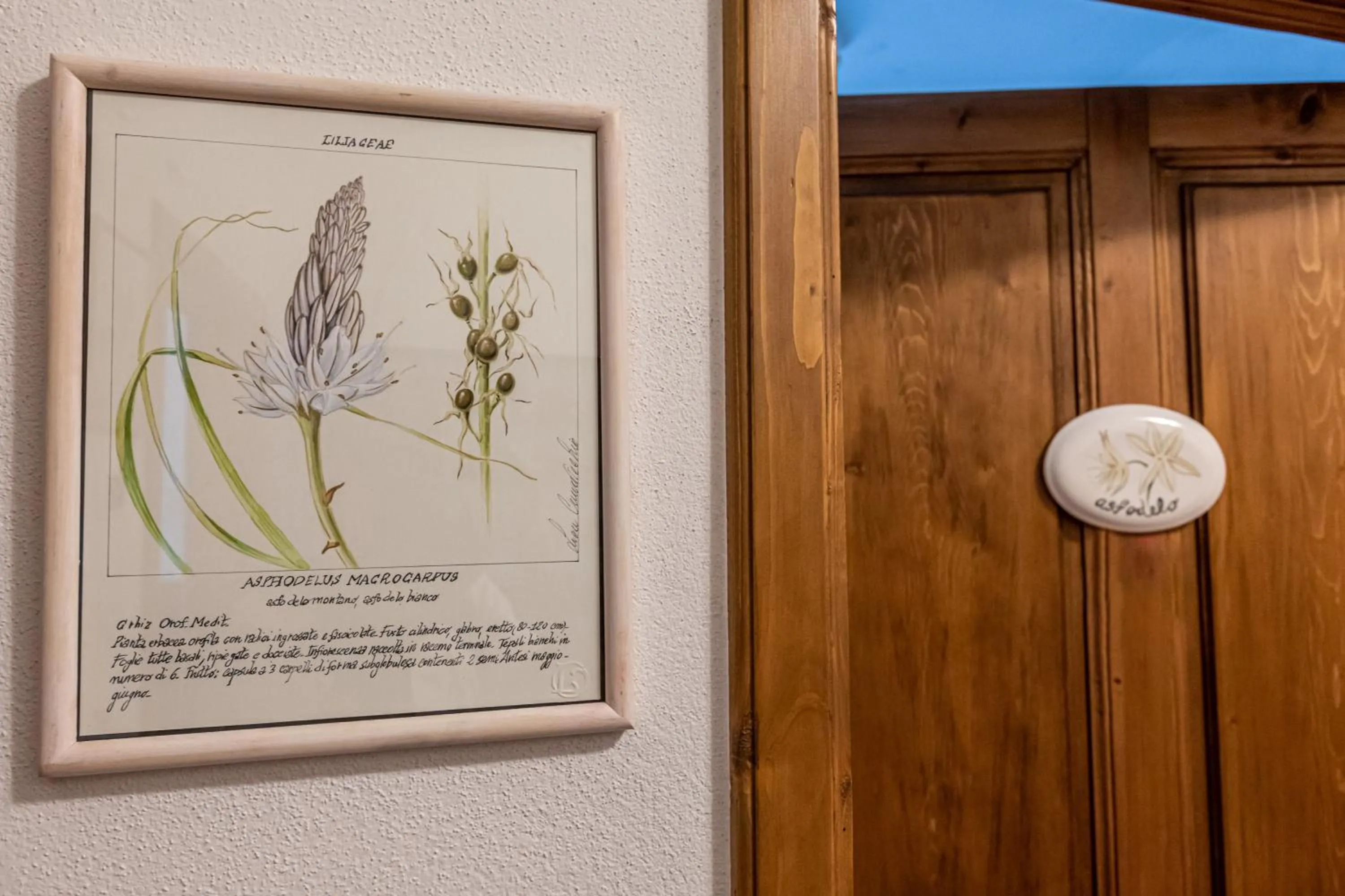 La Locanda di Adele - Il Giardinetto B&B