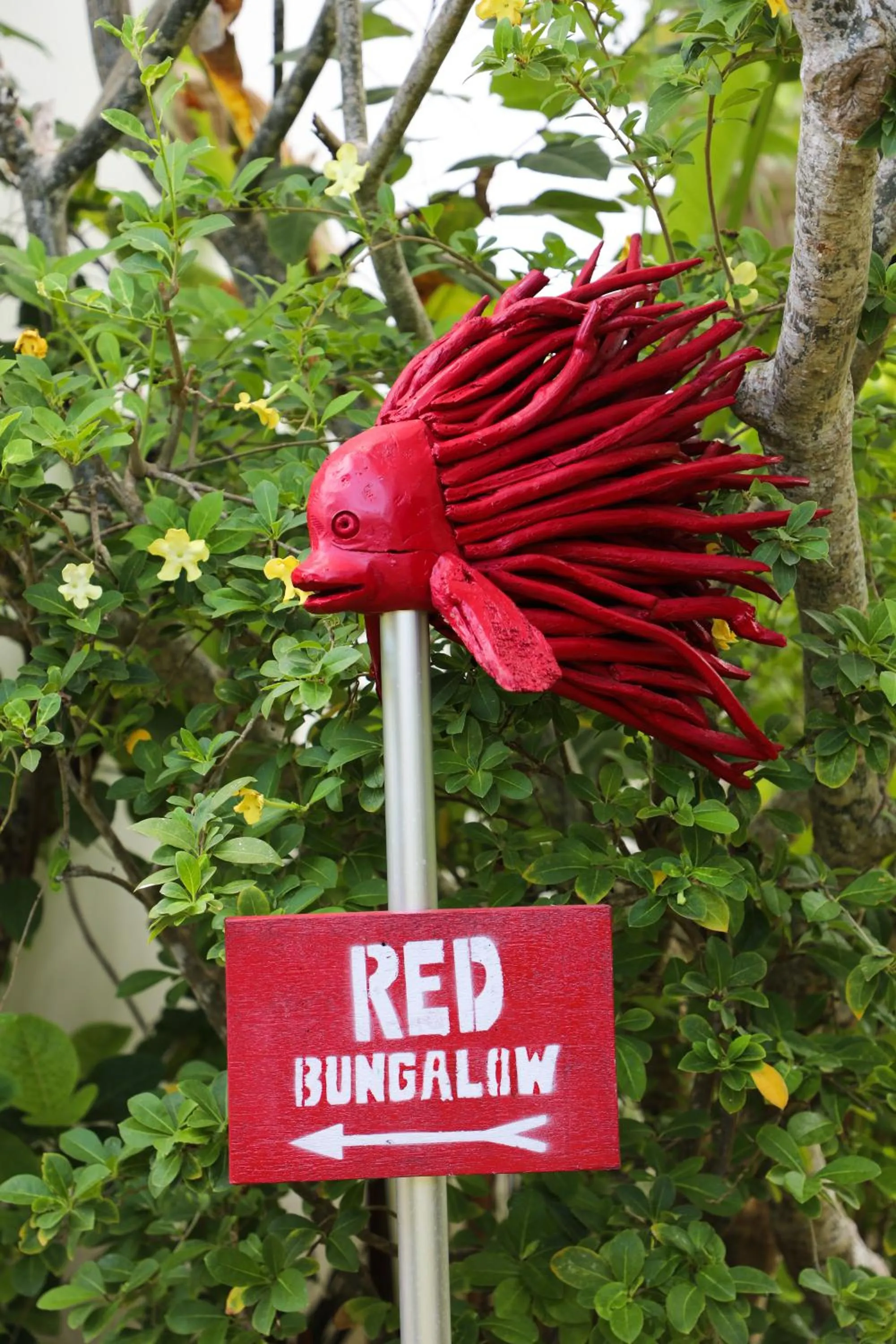 Bingin Bienvenue Guest House