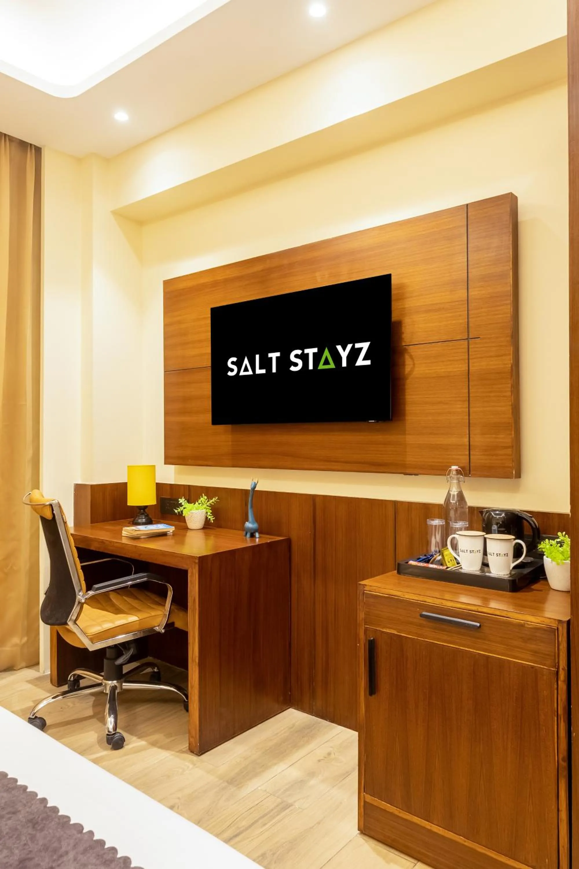 TV and multimedia in Saltstayz Premier - Manesar & Sector 86