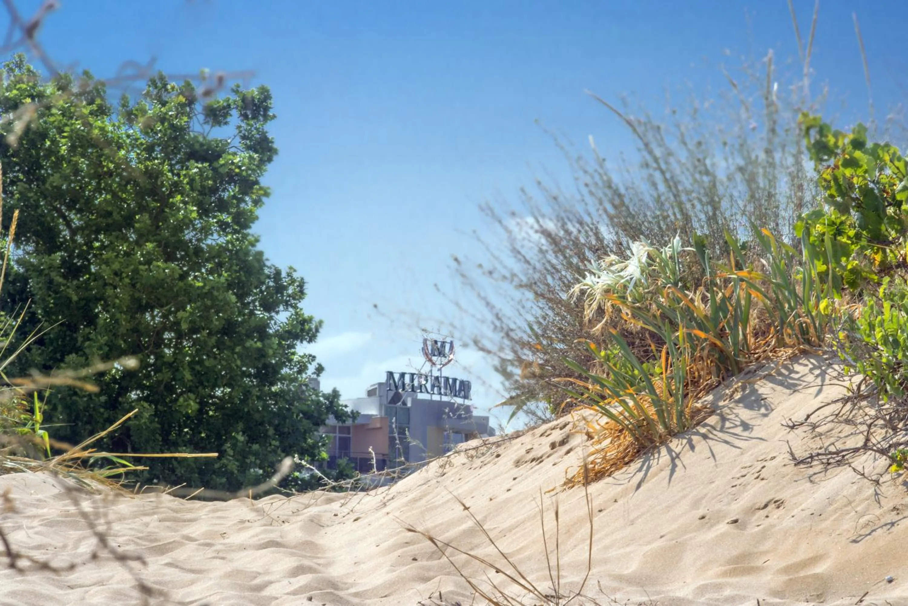 Day in Hotel Miramar Sozopol