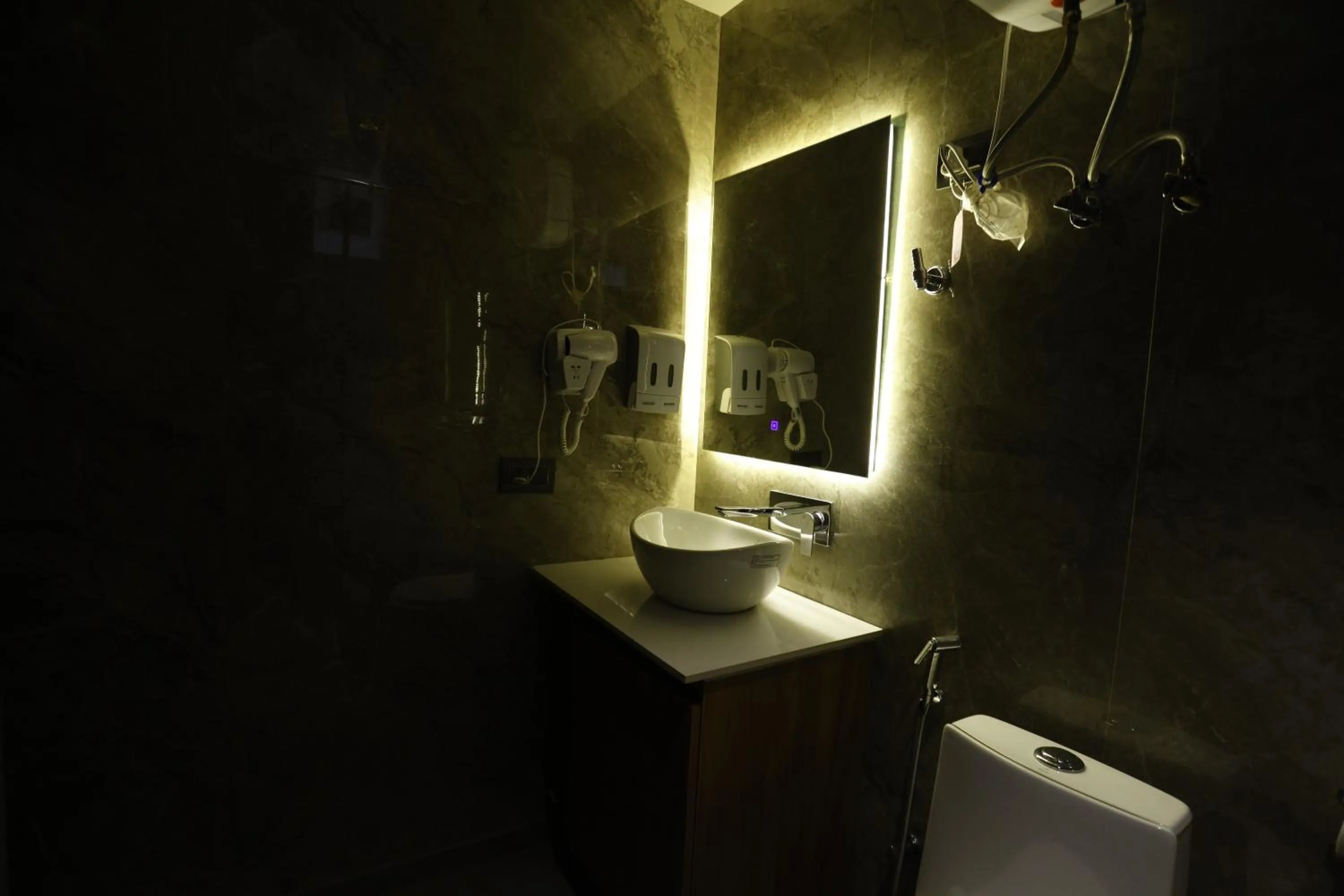 The Hoften Lotus Court, Noida