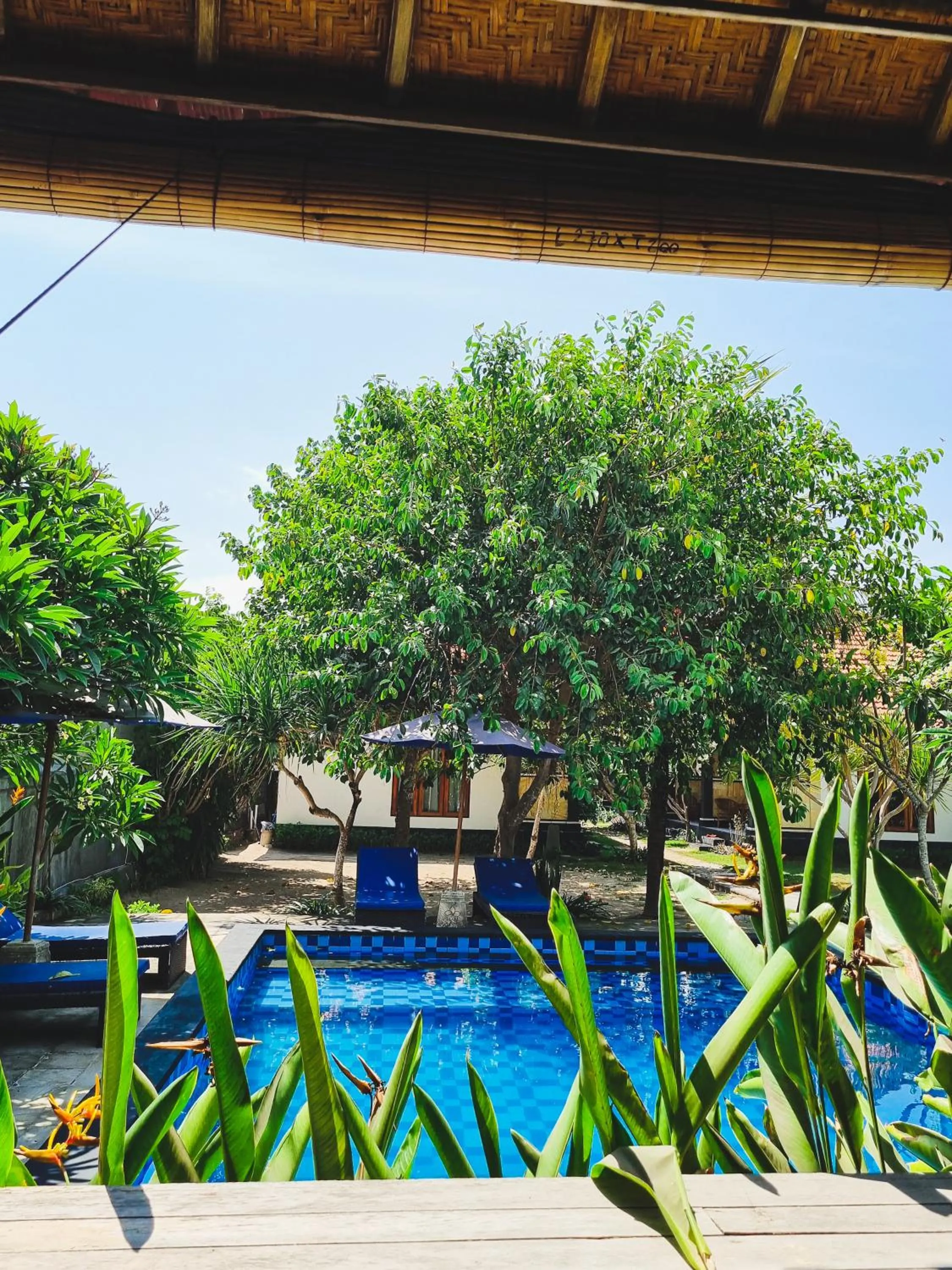 Swimming pool in Hokita Home Stay