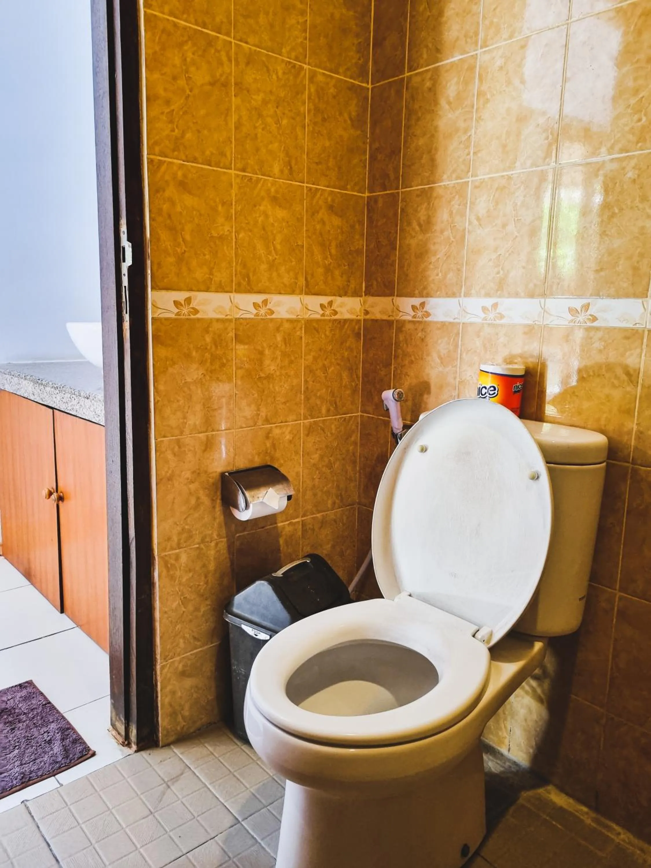 Toilet in Hokita Home Stay