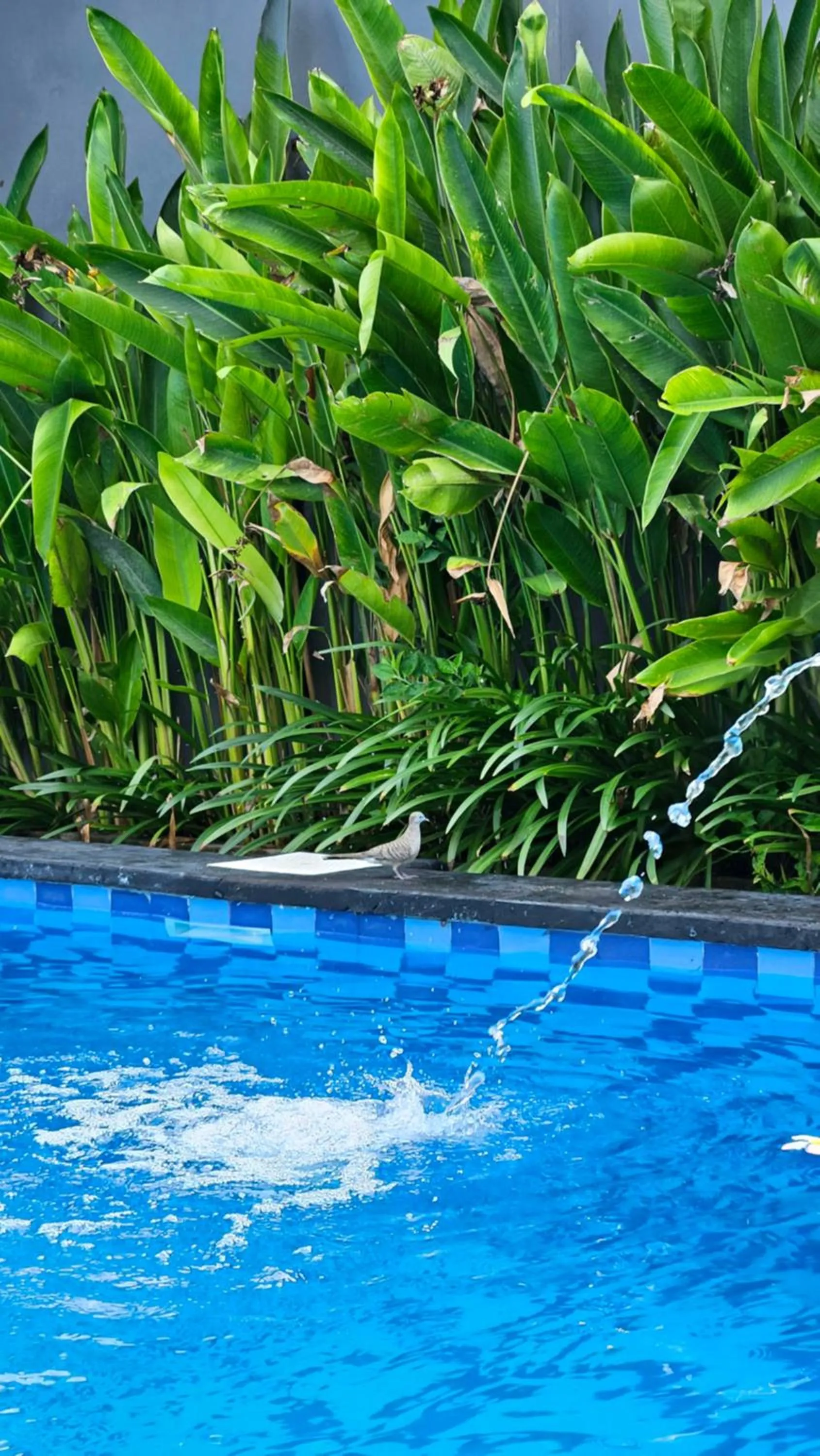 Property building in Hokita Home Stay