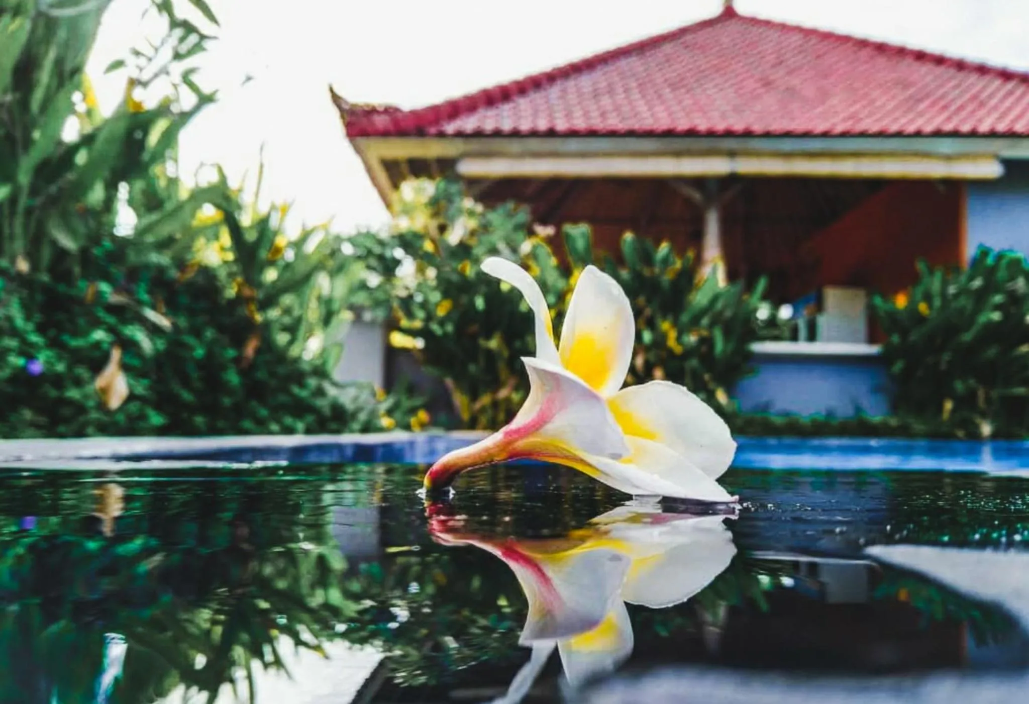 Property building in Hokita Home Stay
