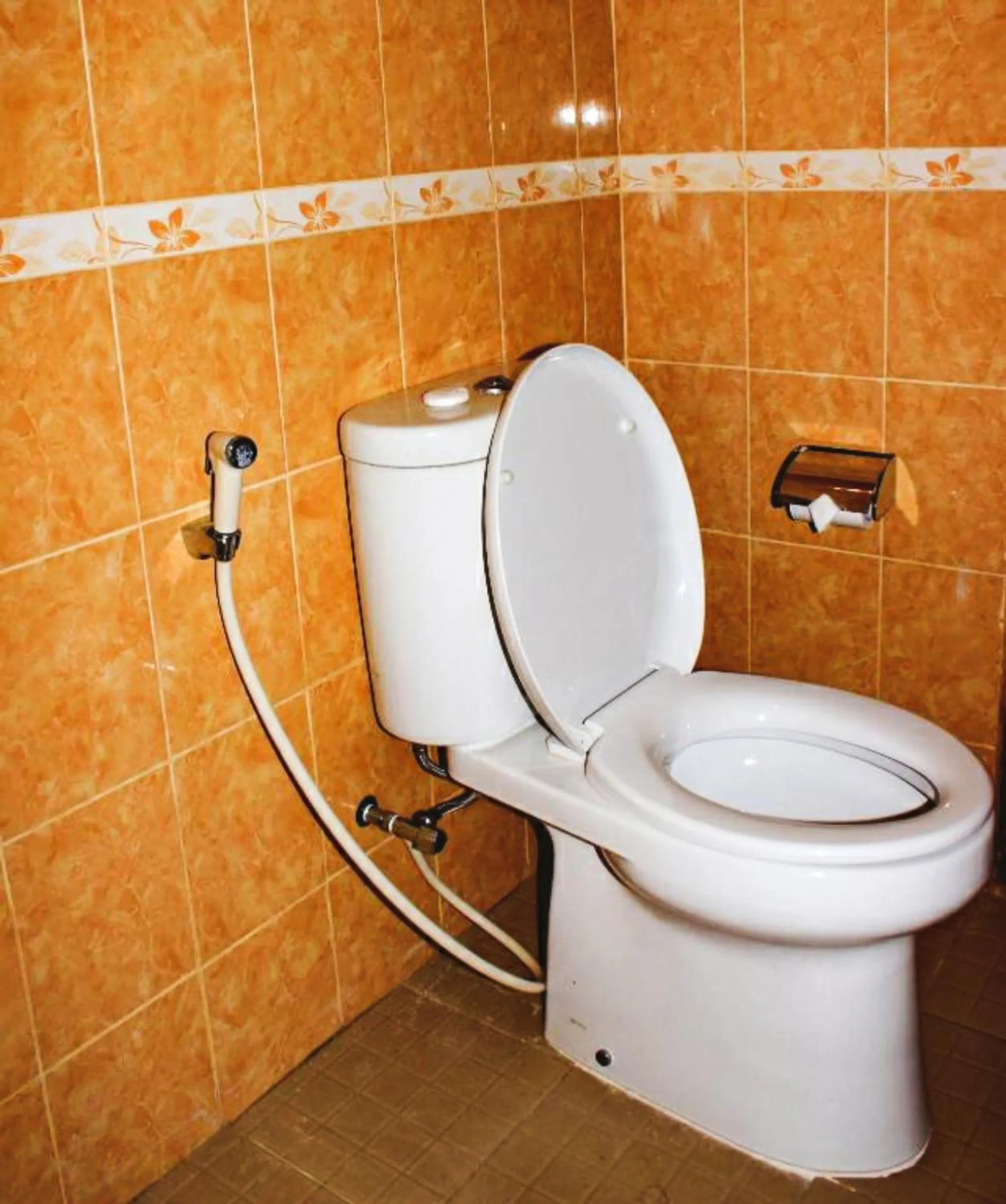 Toilet in Hokita Home Stay