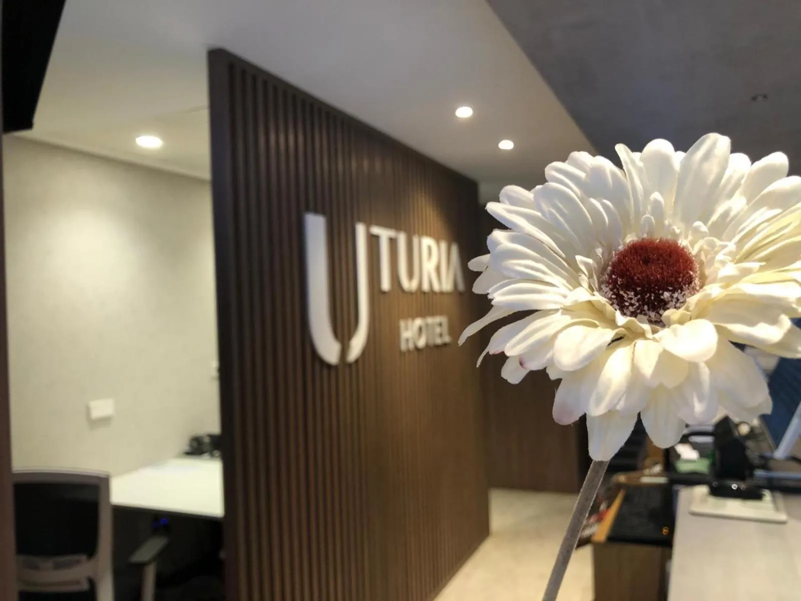 Lobby or reception in Turia Valencia