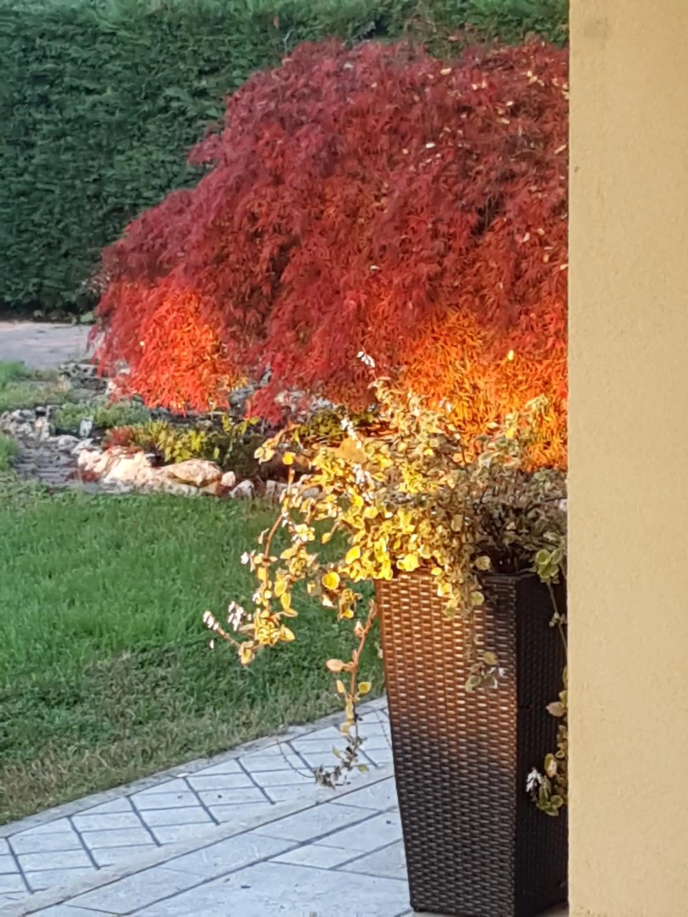 Garden in B&B Melograno MC