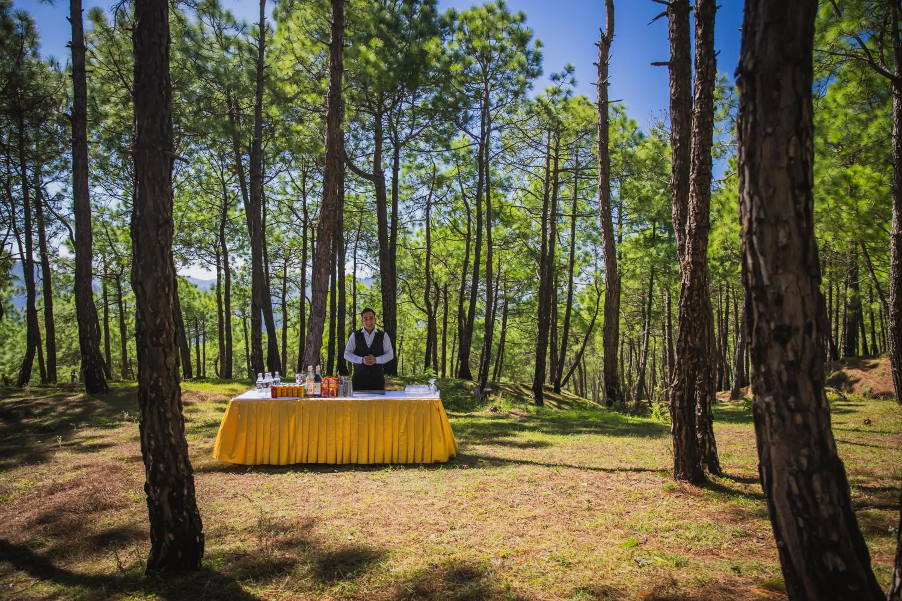 Garden in The Manor Sports and Wellness Hotel