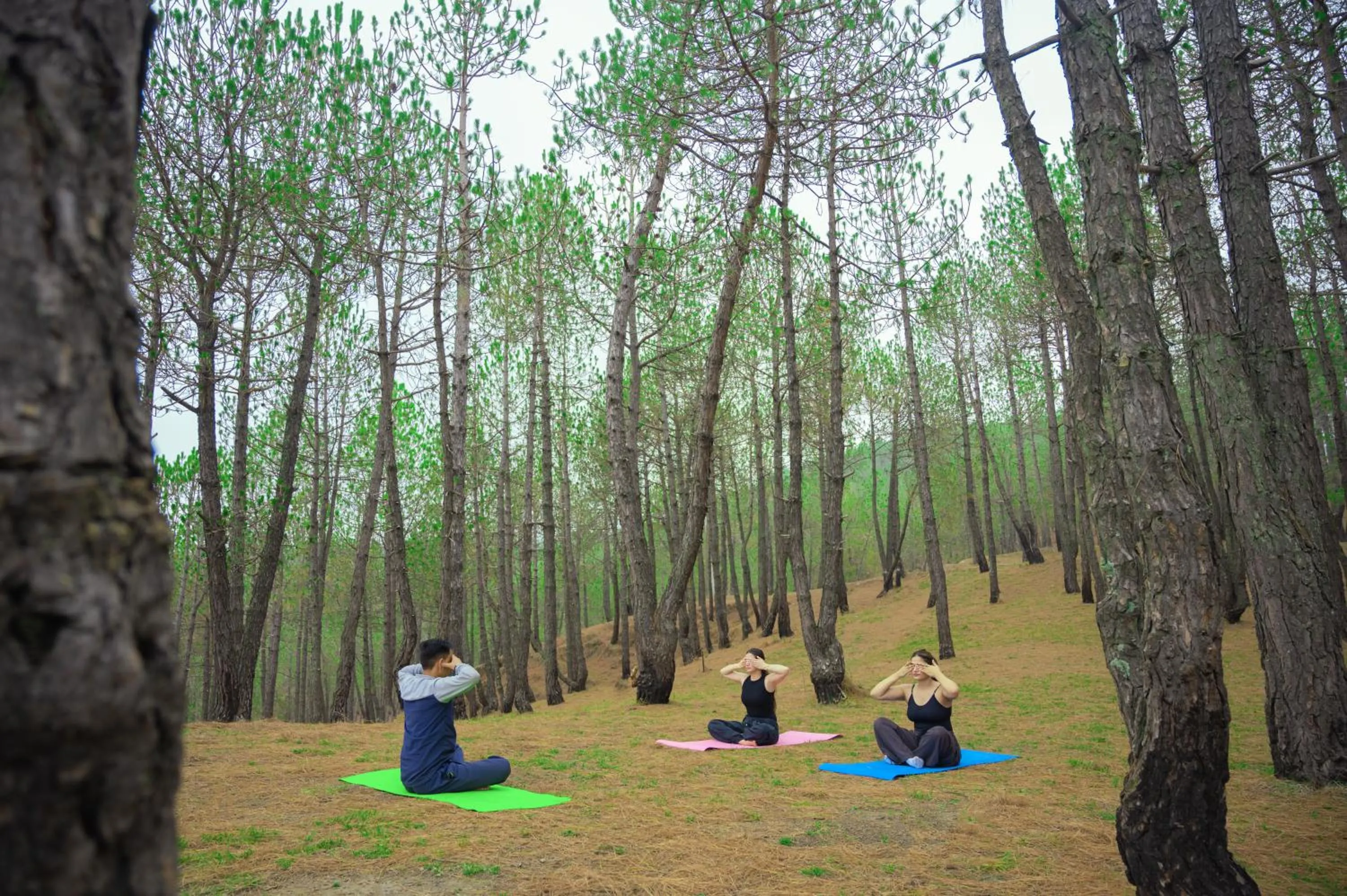 Day in The Manor Sports and Wellness Hotel