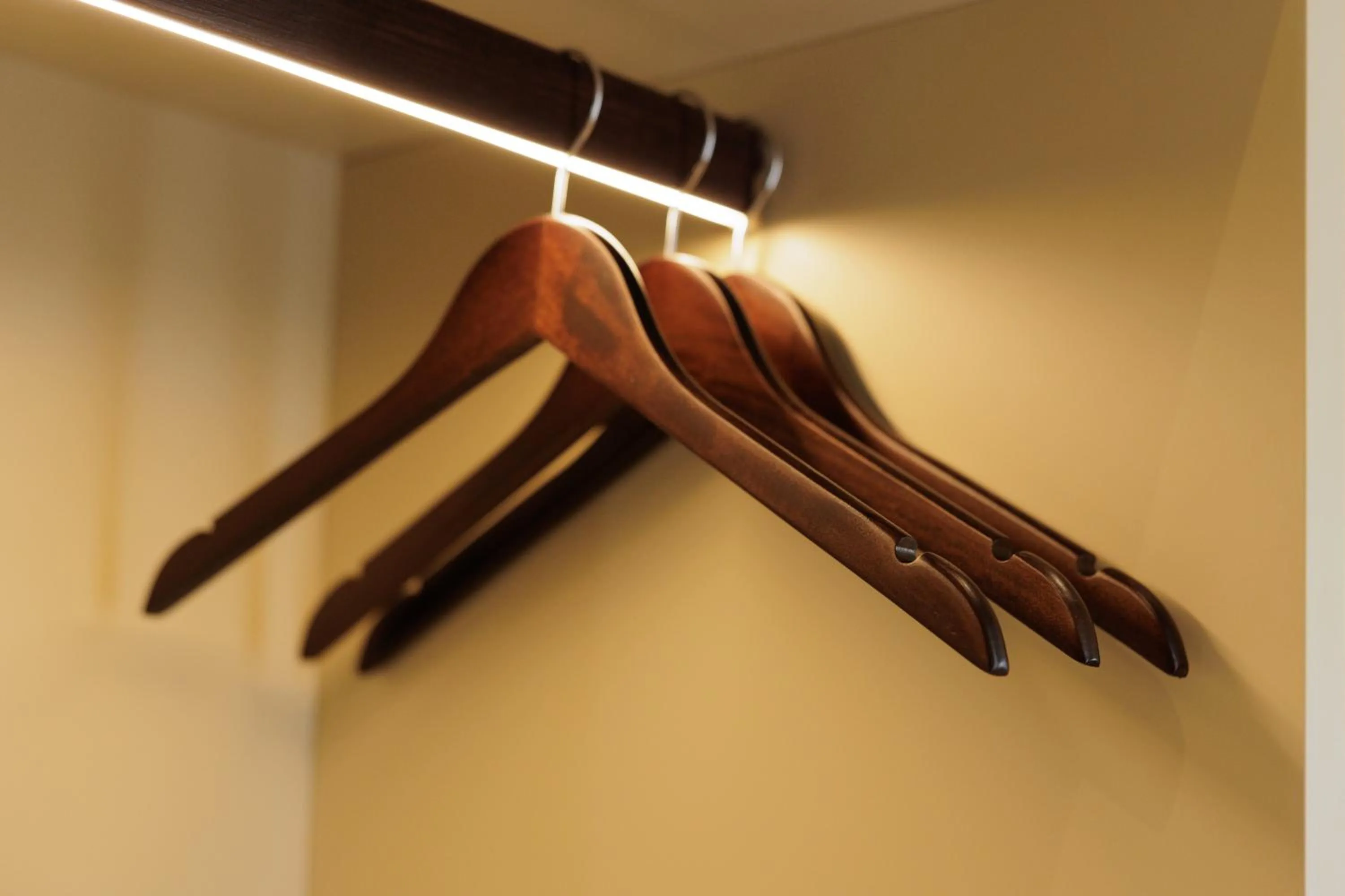 wardrobe in Albergo Botti