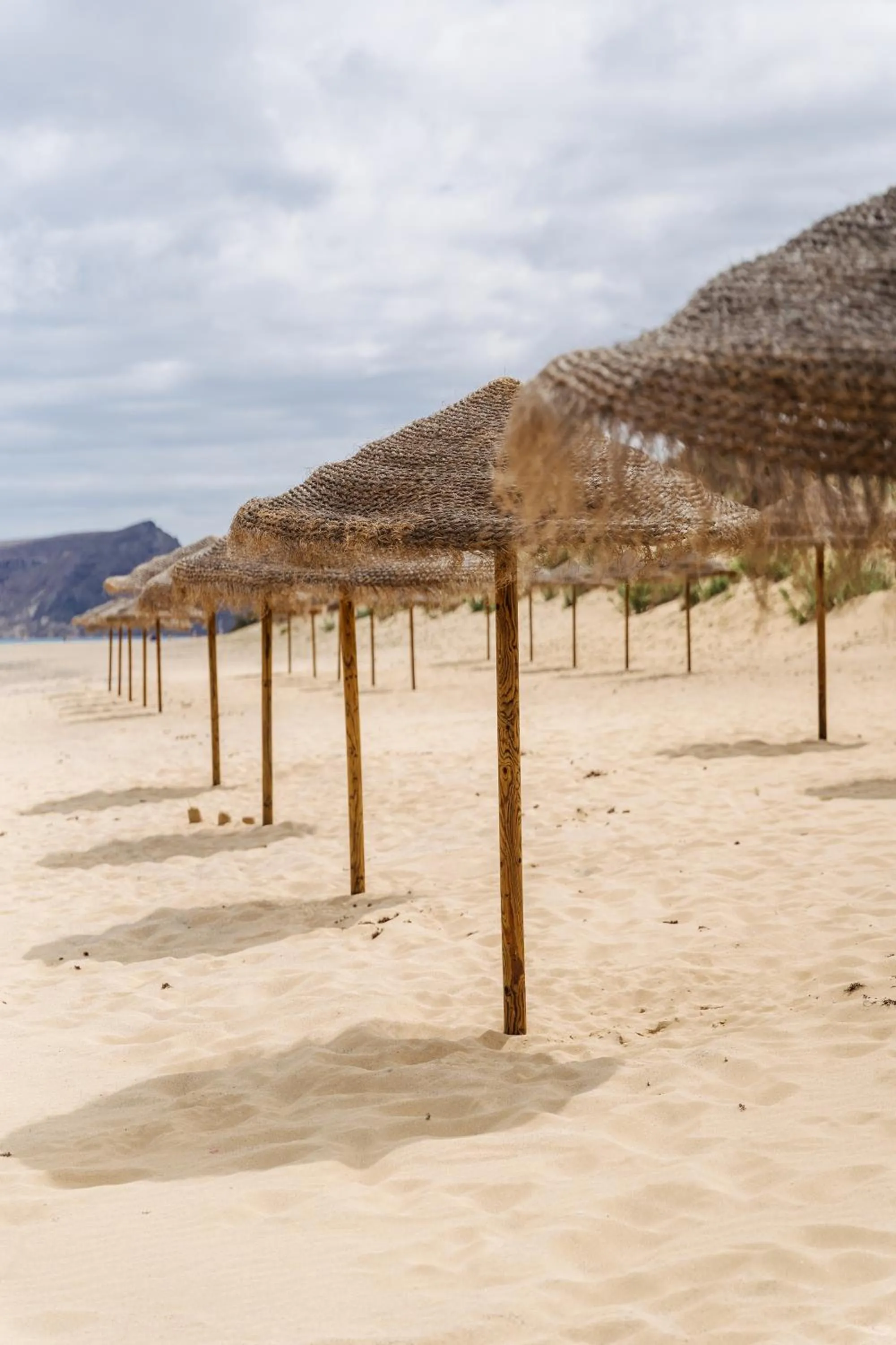 The Navigator - Colombus All Inclusive