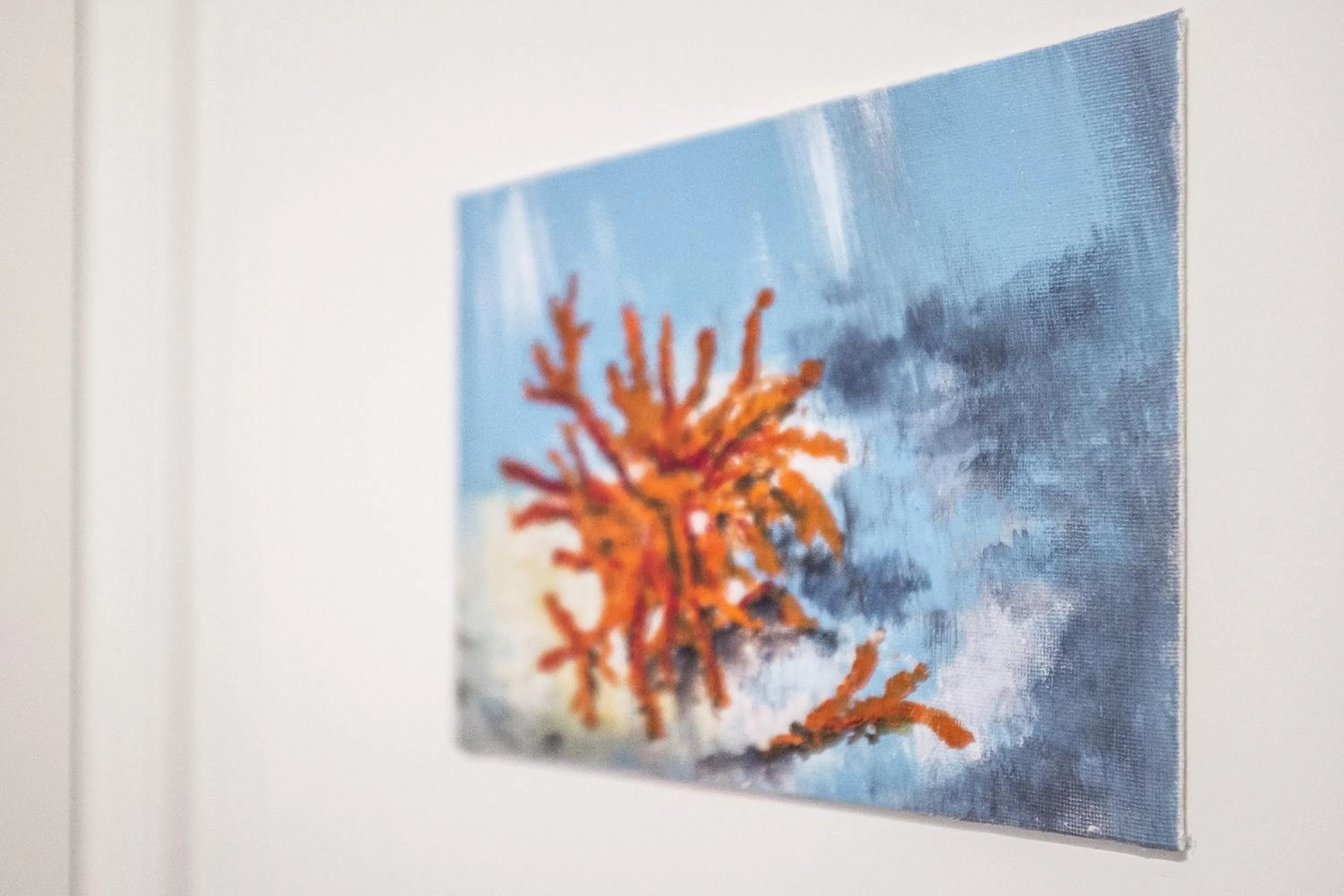 Decorative detail in B&B Acquapazza