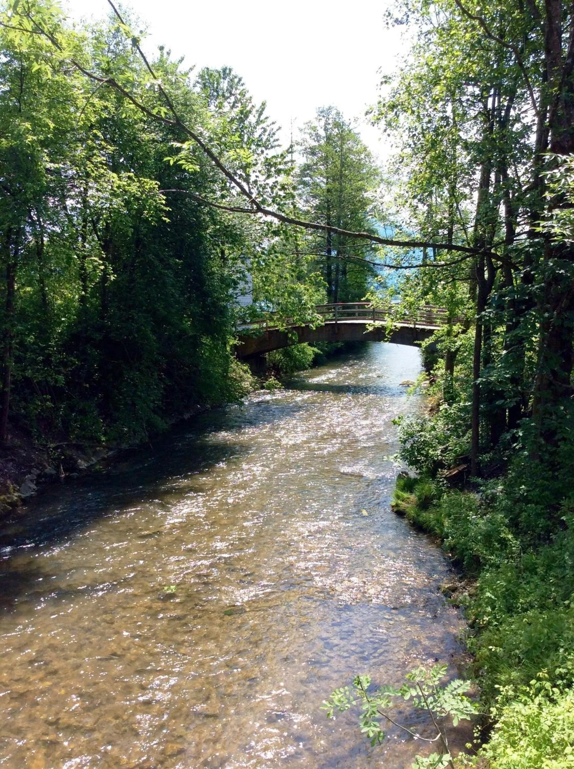 Natural landscape in Jugendgästehaus Mondsee