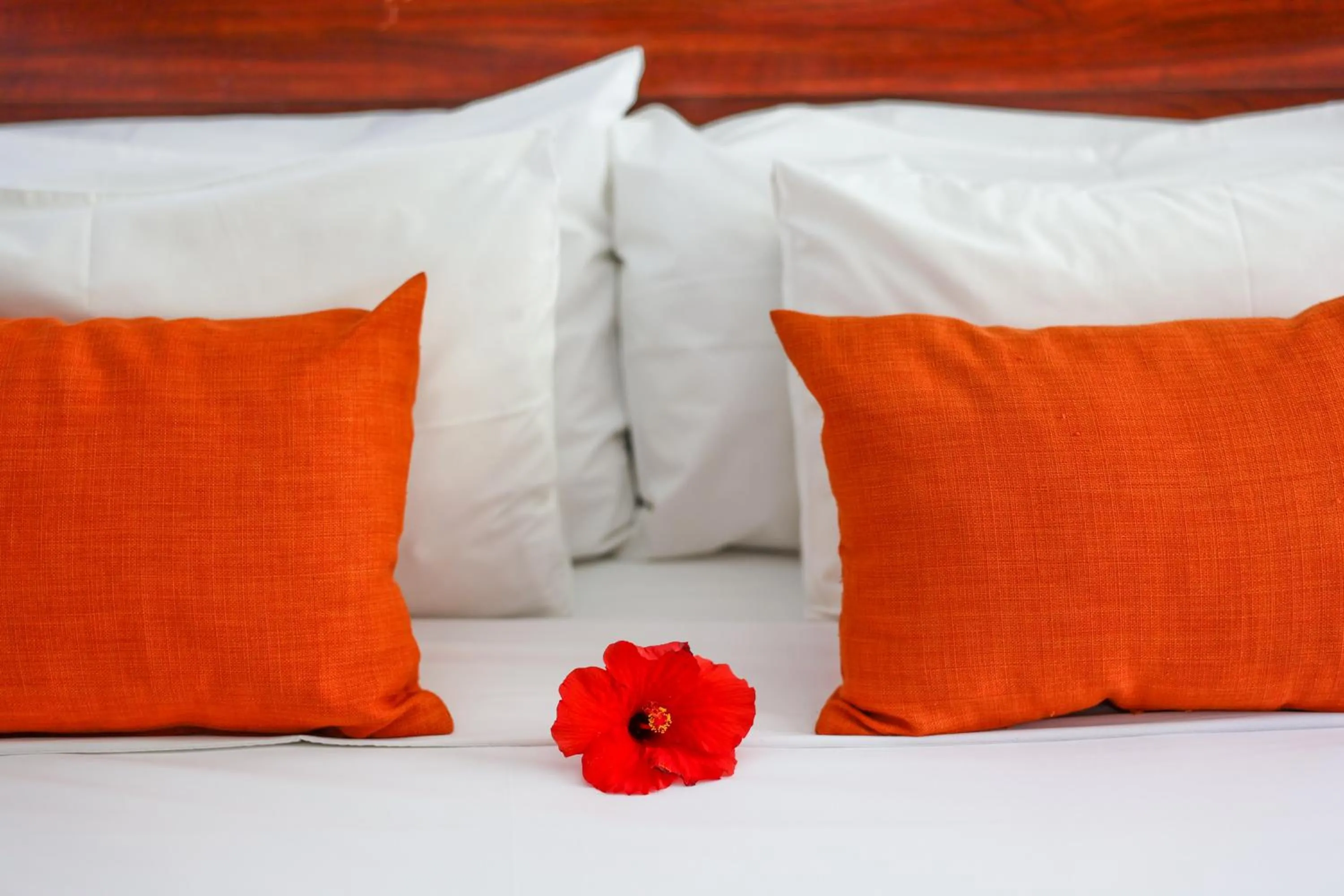 Bed in Cresta Botsalo Hotel