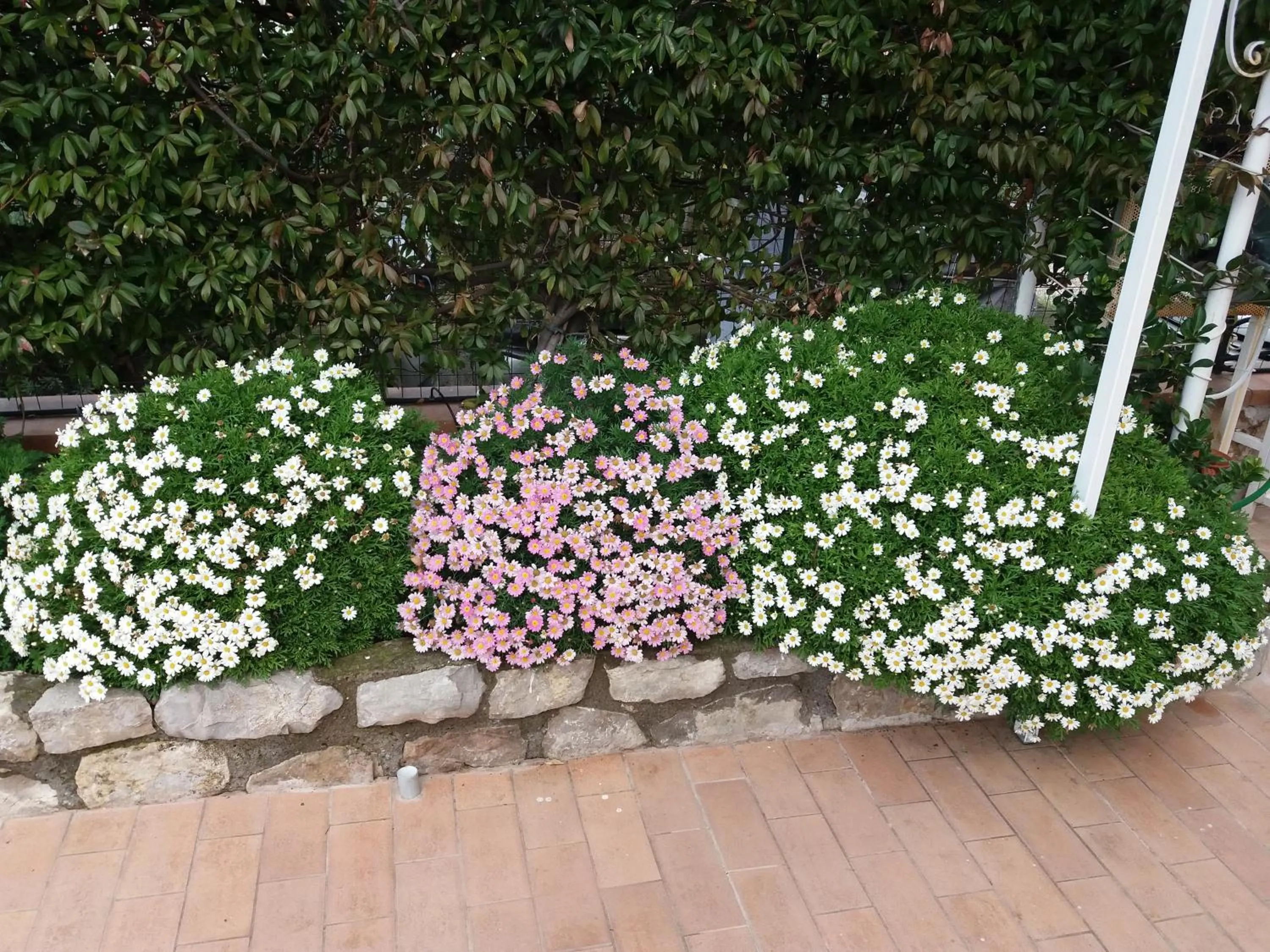 Garden in Garden on the Sea