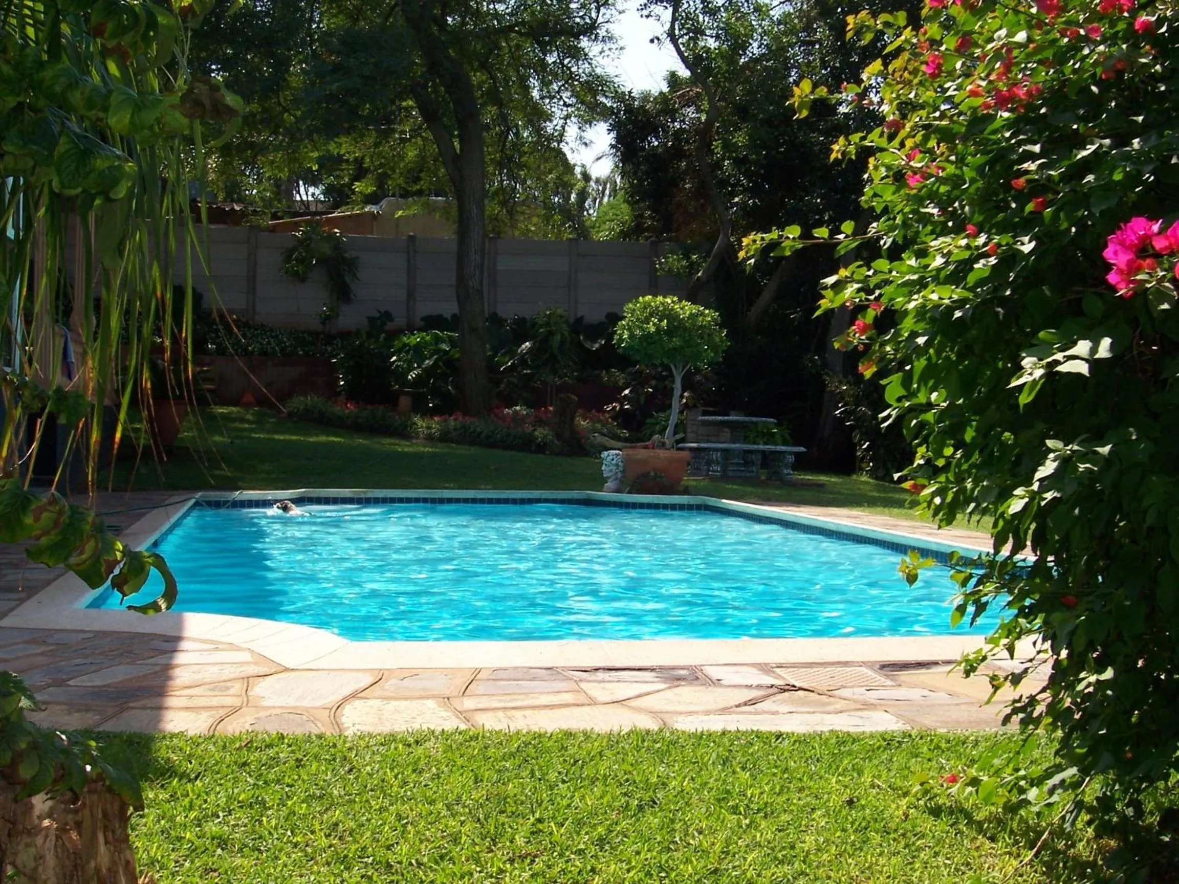 Swimming pool in Birdcage B&B
