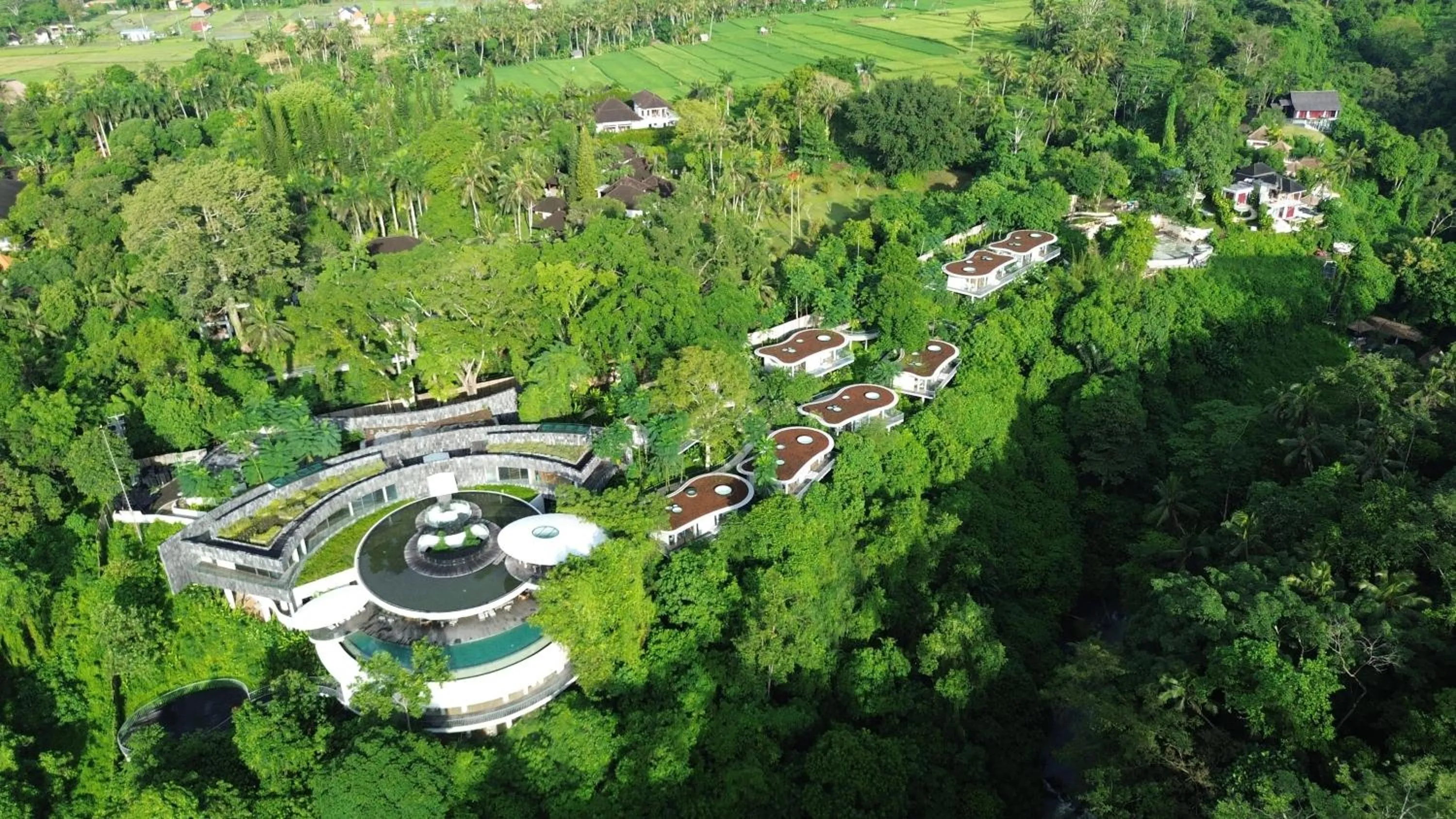 Spring in Bumi Kinar Skylight