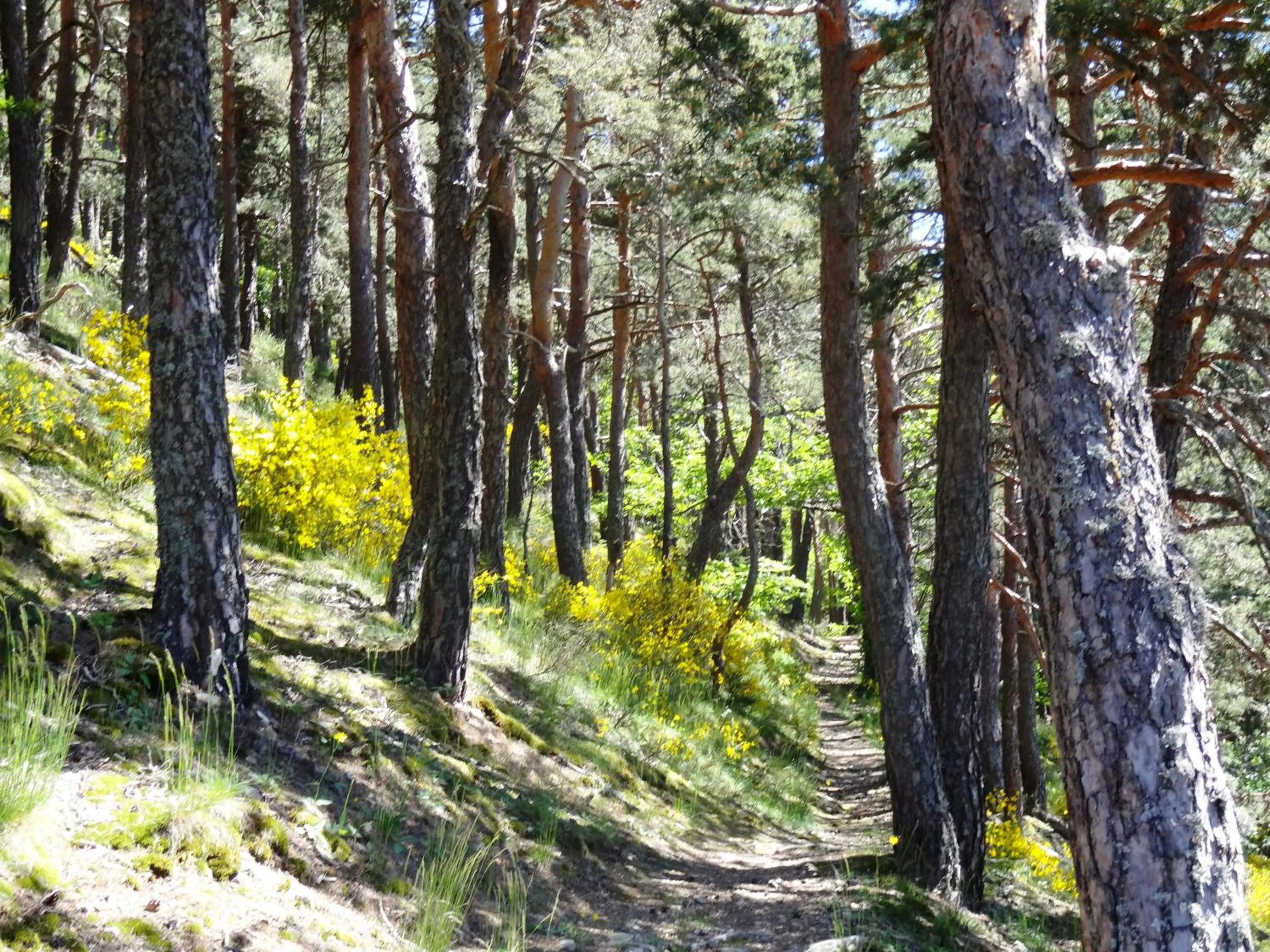 Property building in Le Relais De Rochepaule