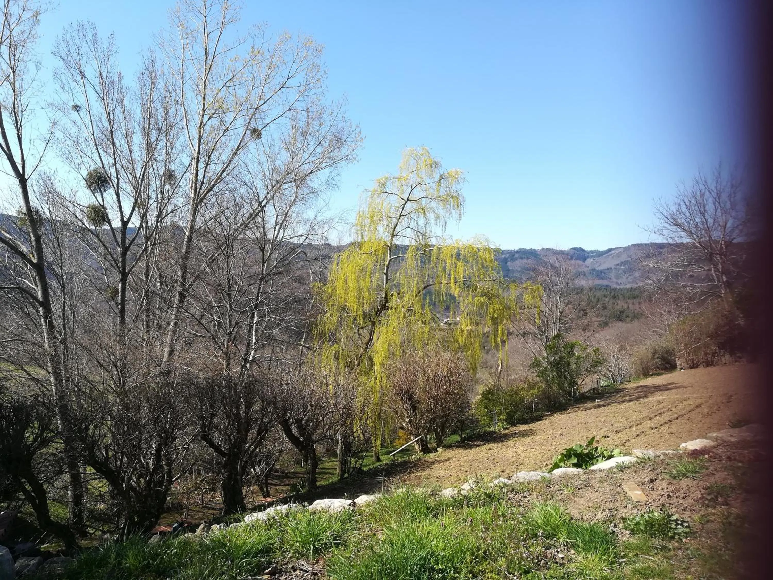Le Relais De Rochepaule