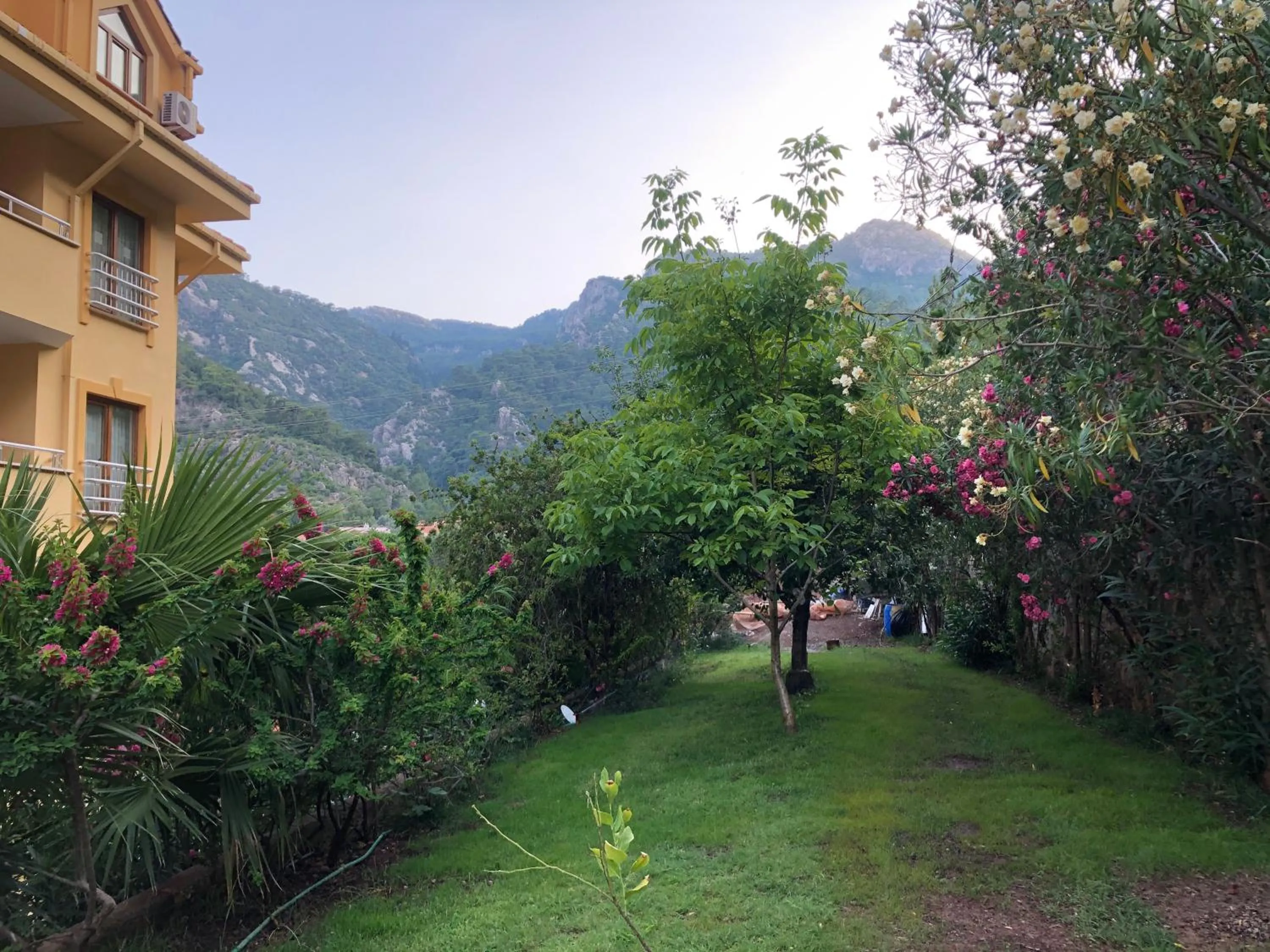 Garden in Dores Residence