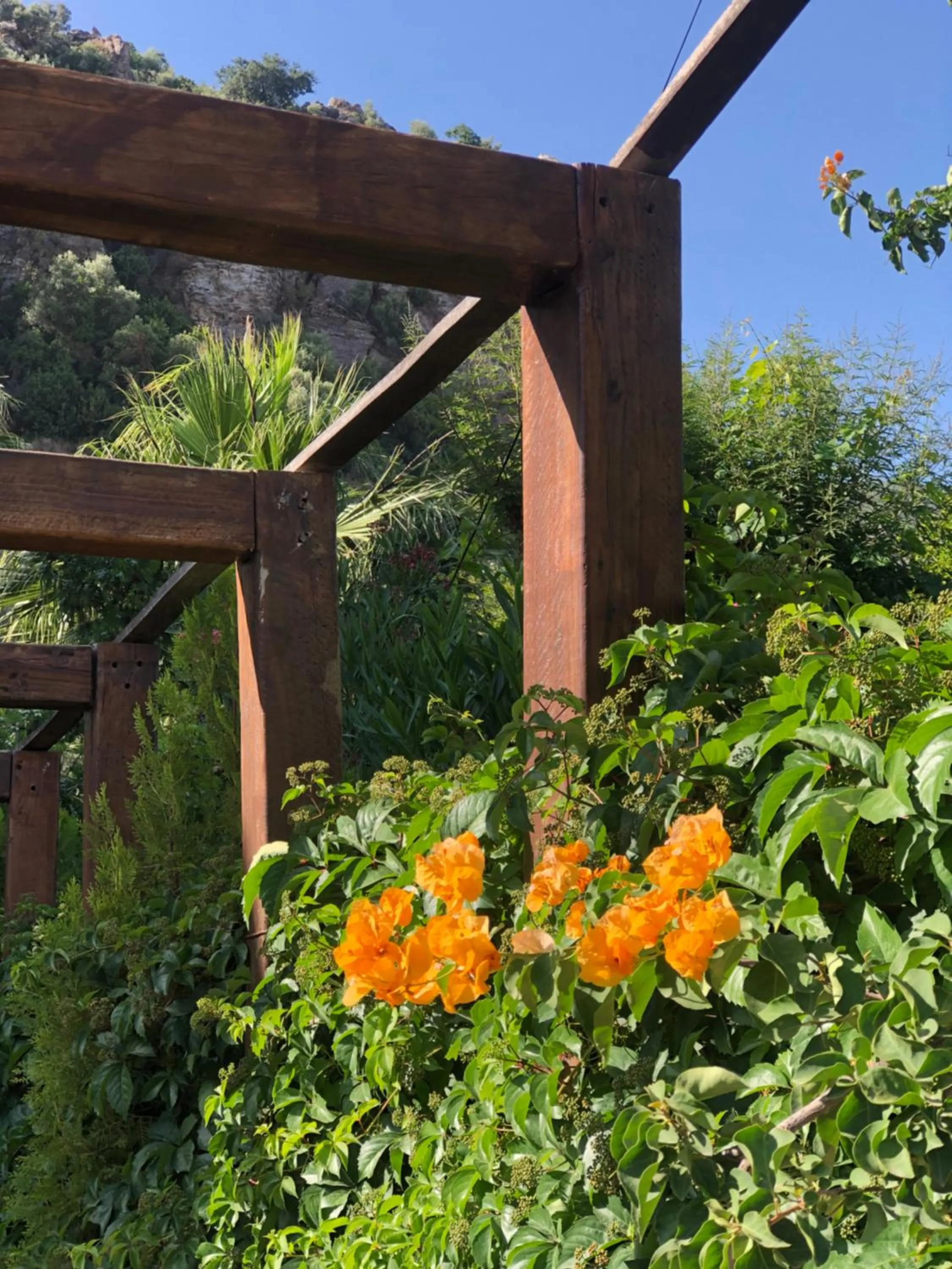 Garden in Dores Residence